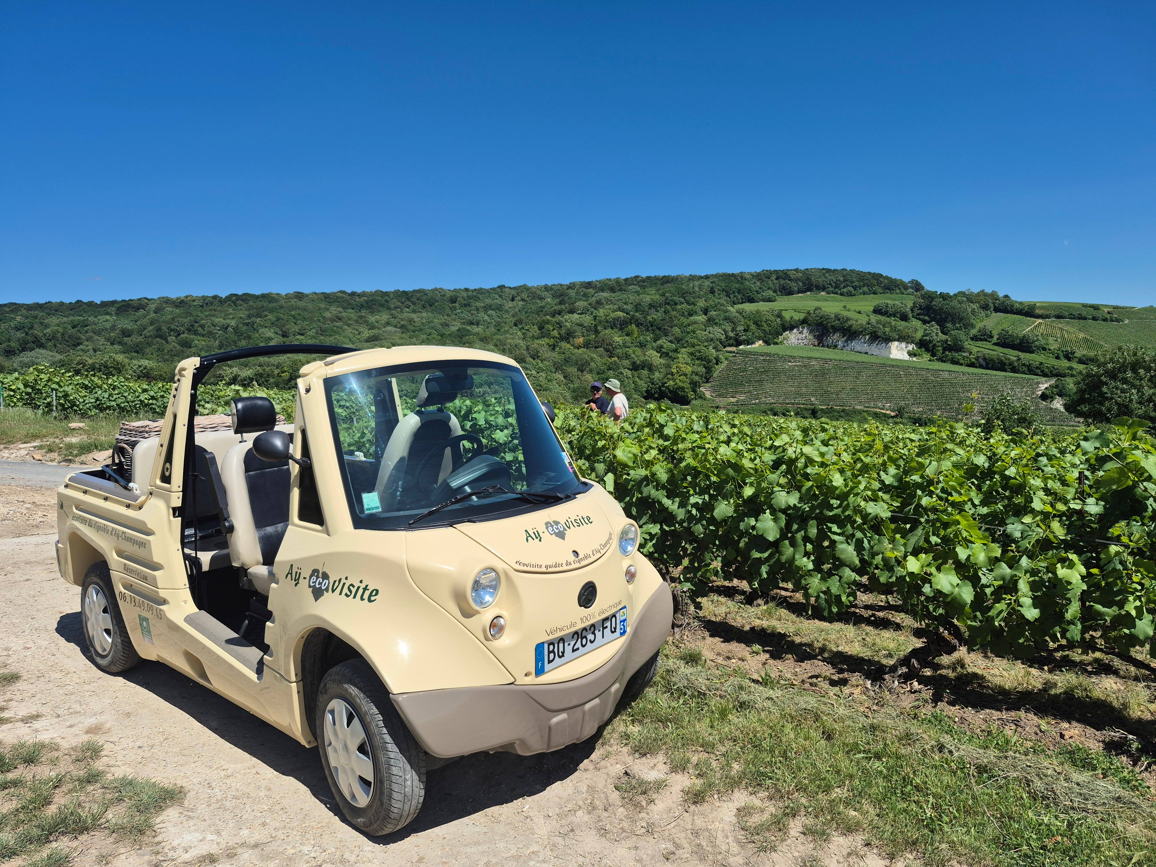 Champagne Richard-Fliniaux Tour & Tasting 2026 ⭐️ Book your