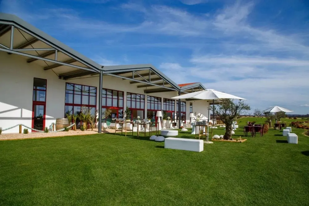 Vicentino Wines - Winalist