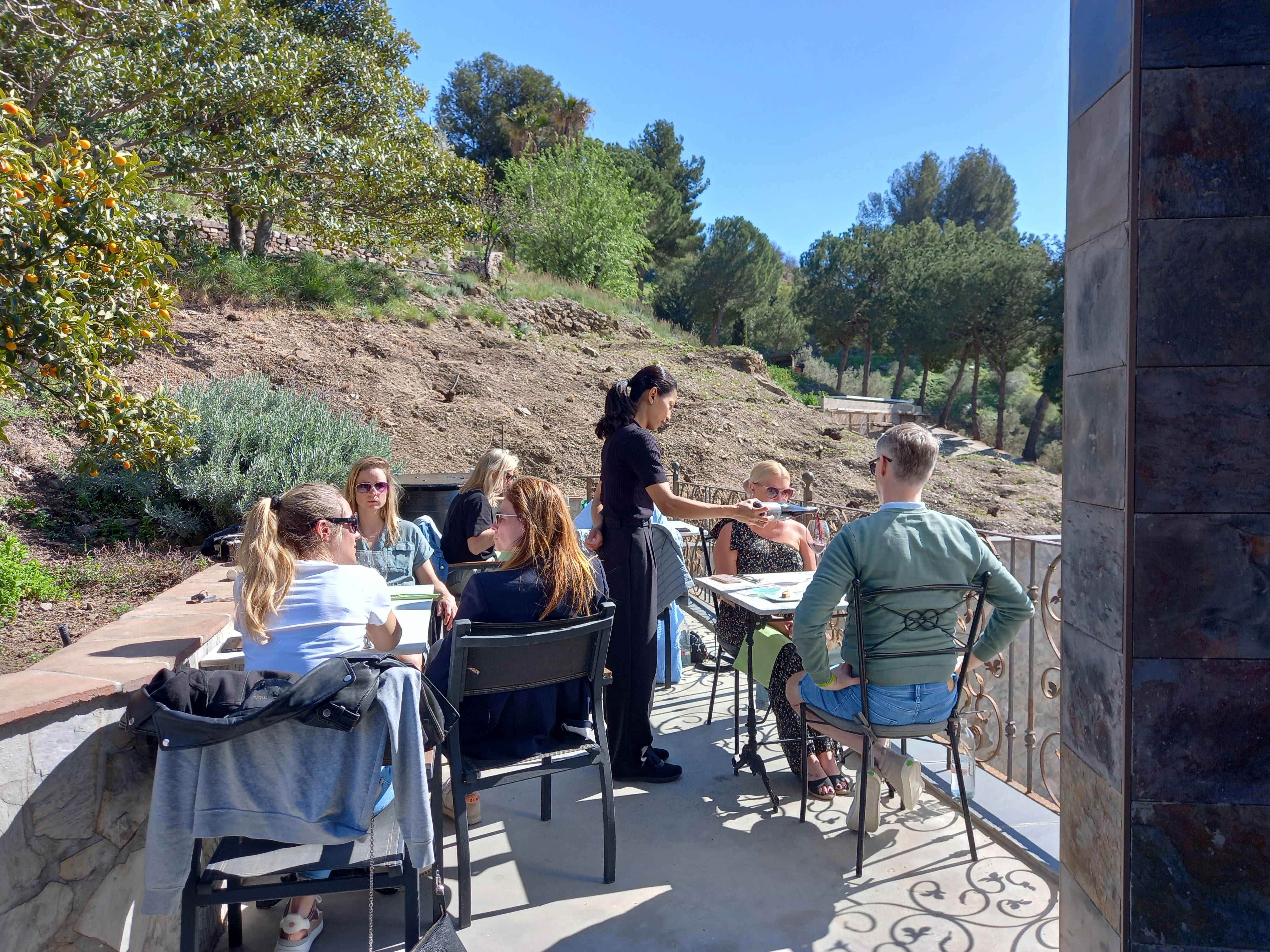 Visit, Tasting and 3-Course Gourmet Lunch - Bodegas Bentomiz - Winalist