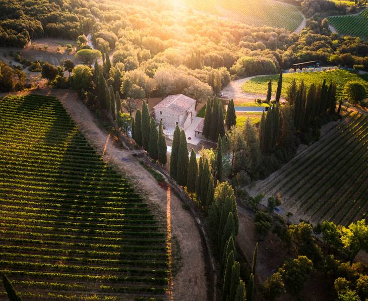 Brunello di Montalcino Wine Tours Tastings ⭐️ Best Wineries 2025