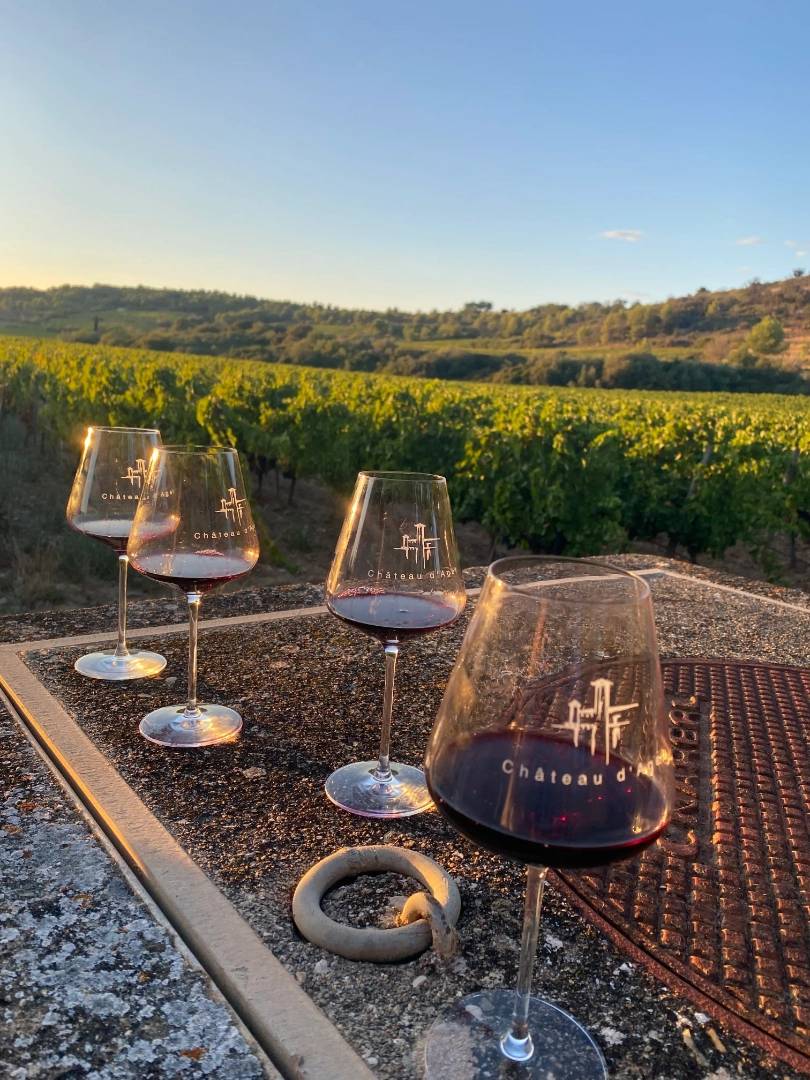 Tasting and visit to the vineyard - Château D’agel - Winalist