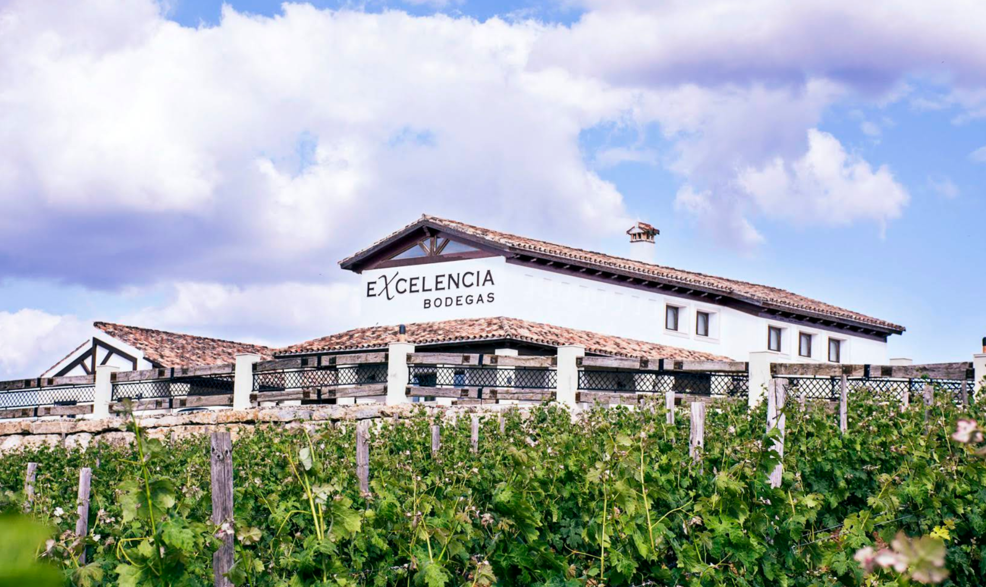 Bodegas Excelencia - Winalist