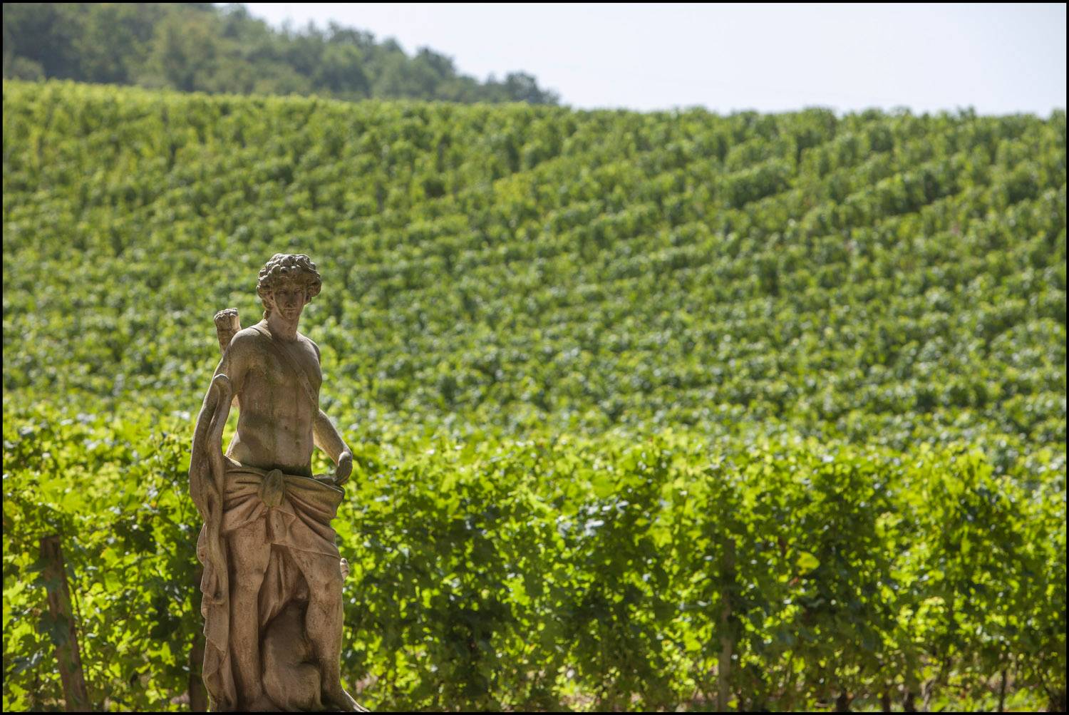 Que visiter autour de Bordeaux ? Châteaux et excursions incontournables - 2026 - 30 - que visiter autour de bordeaux que visiter autour de bordeaux - Que visiter autour de Bordeaux ? Châteaux et excursions incontournables - 2026 - 29