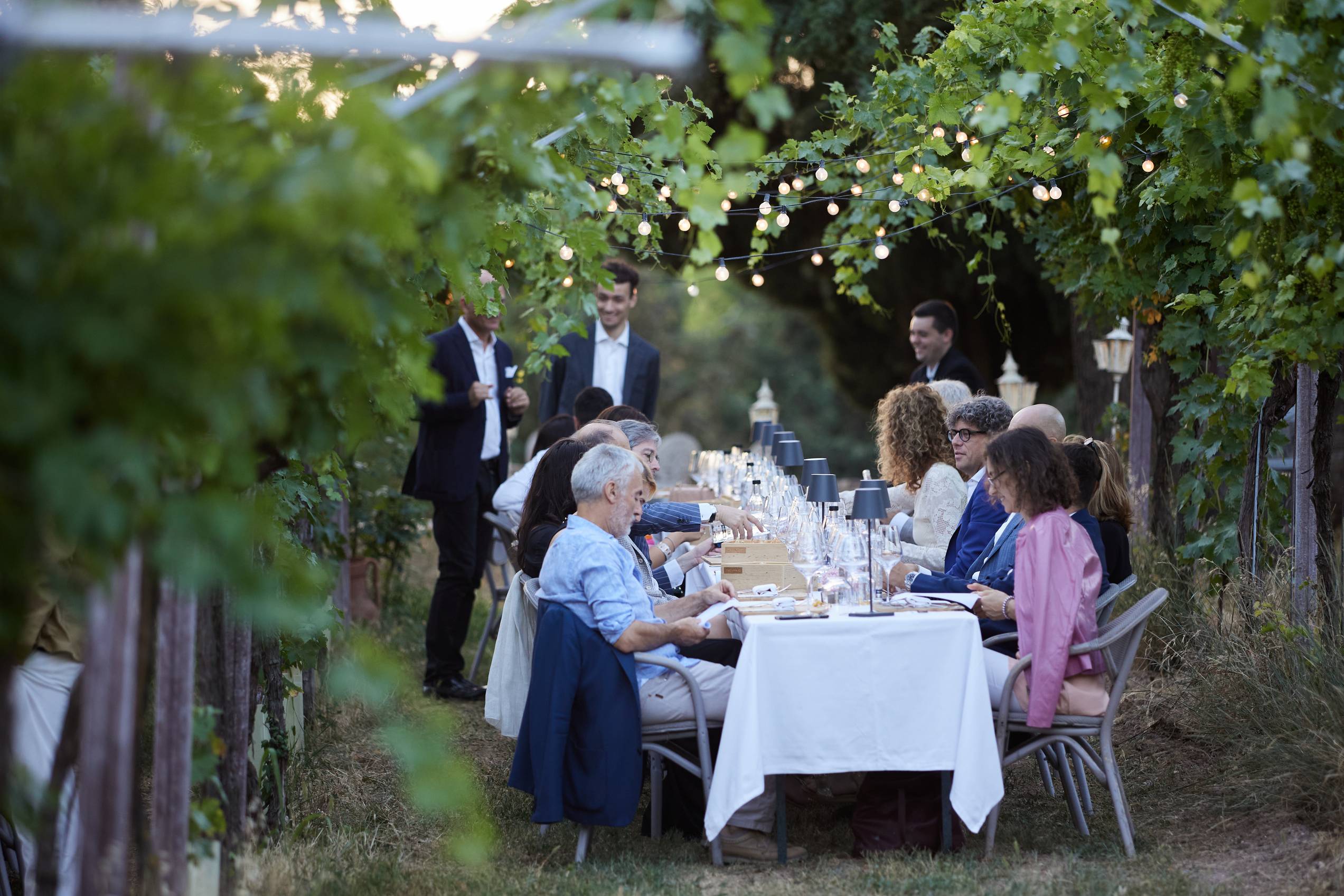 Jantar na Vinha com harmonização de vinhos Massimago - Massimago - Winalist