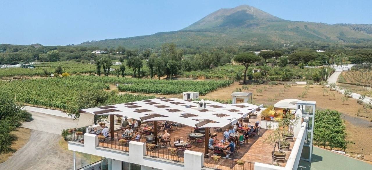 Cantina Del Vesuvio Winery - Winalist