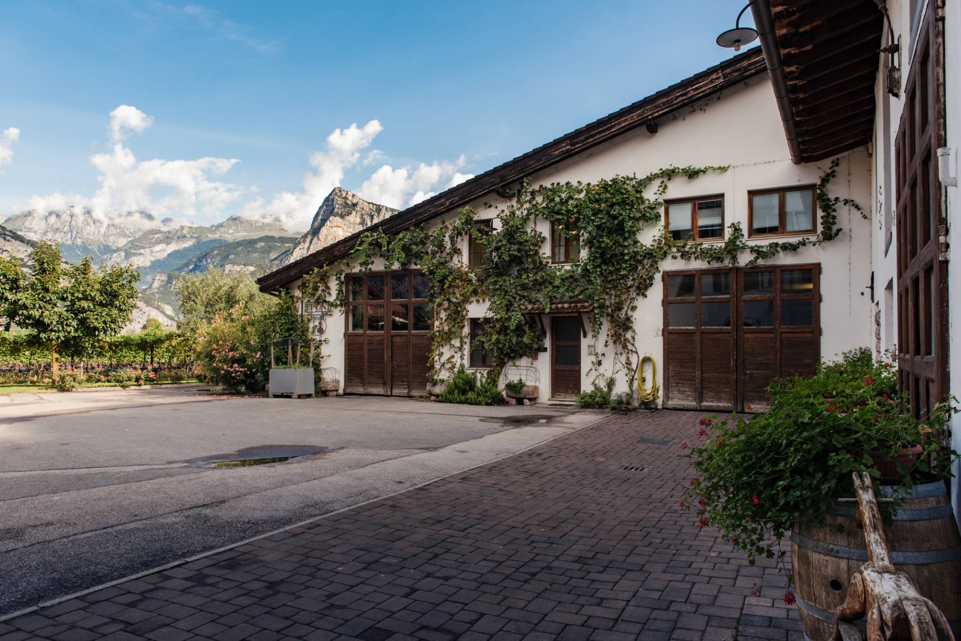 Azienda Vitivinicola E Distilleria Pisoni - Winalist