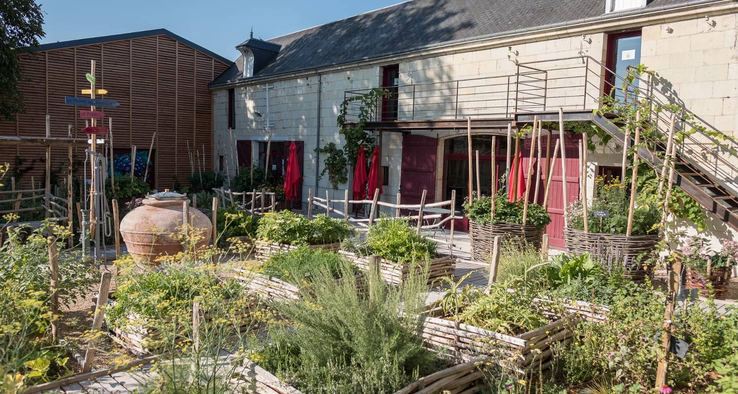 Route des vins Touraine : Découvrir les vins de Loire et ses vignobles - 2026 - 8 - route des vins touraine route des vins touraine - Route des vins Touraine : Découvrir les vins de Loire et ses vignobles - 2026 - 7