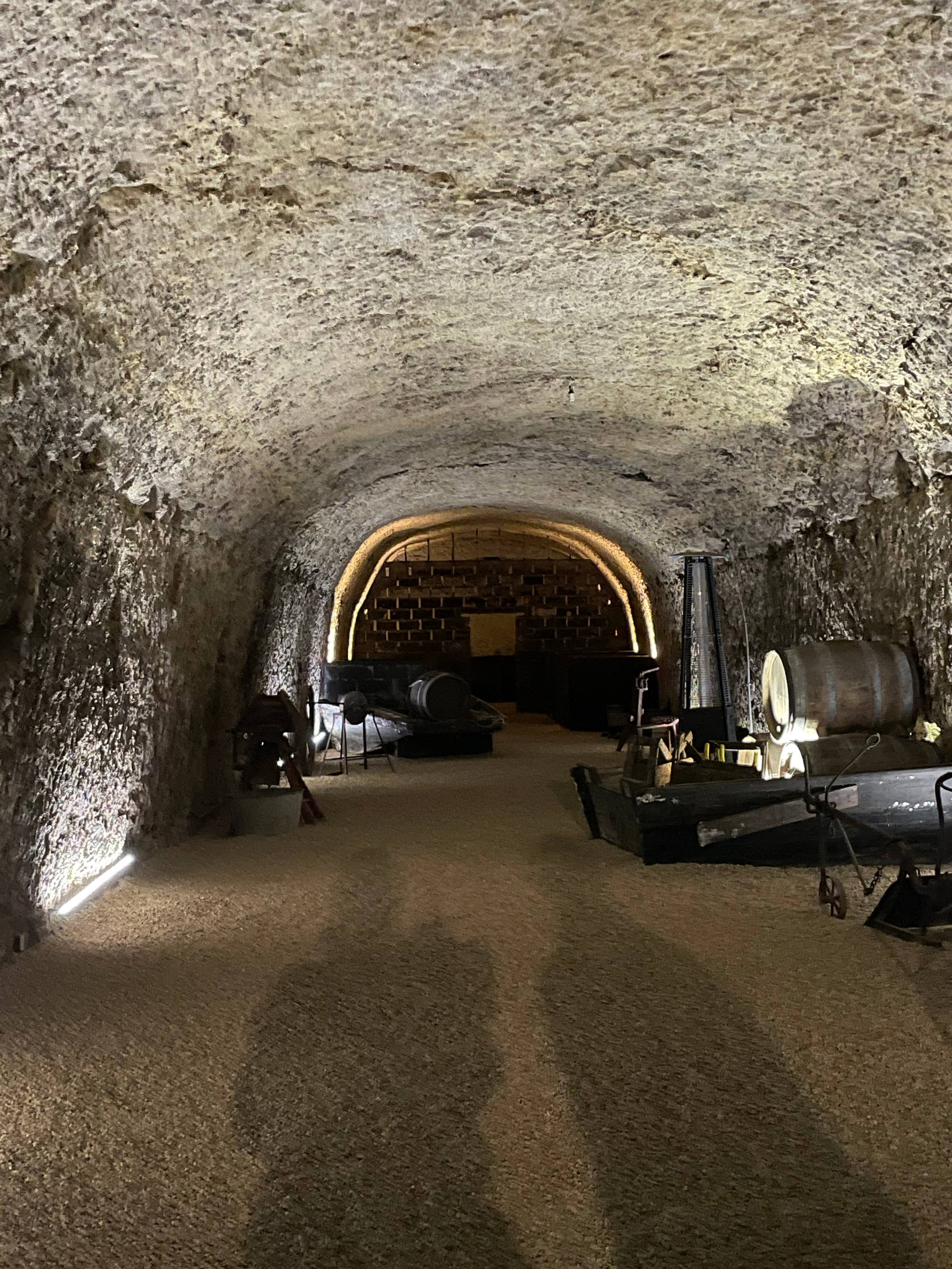 Visite Odyssée des Millésimes