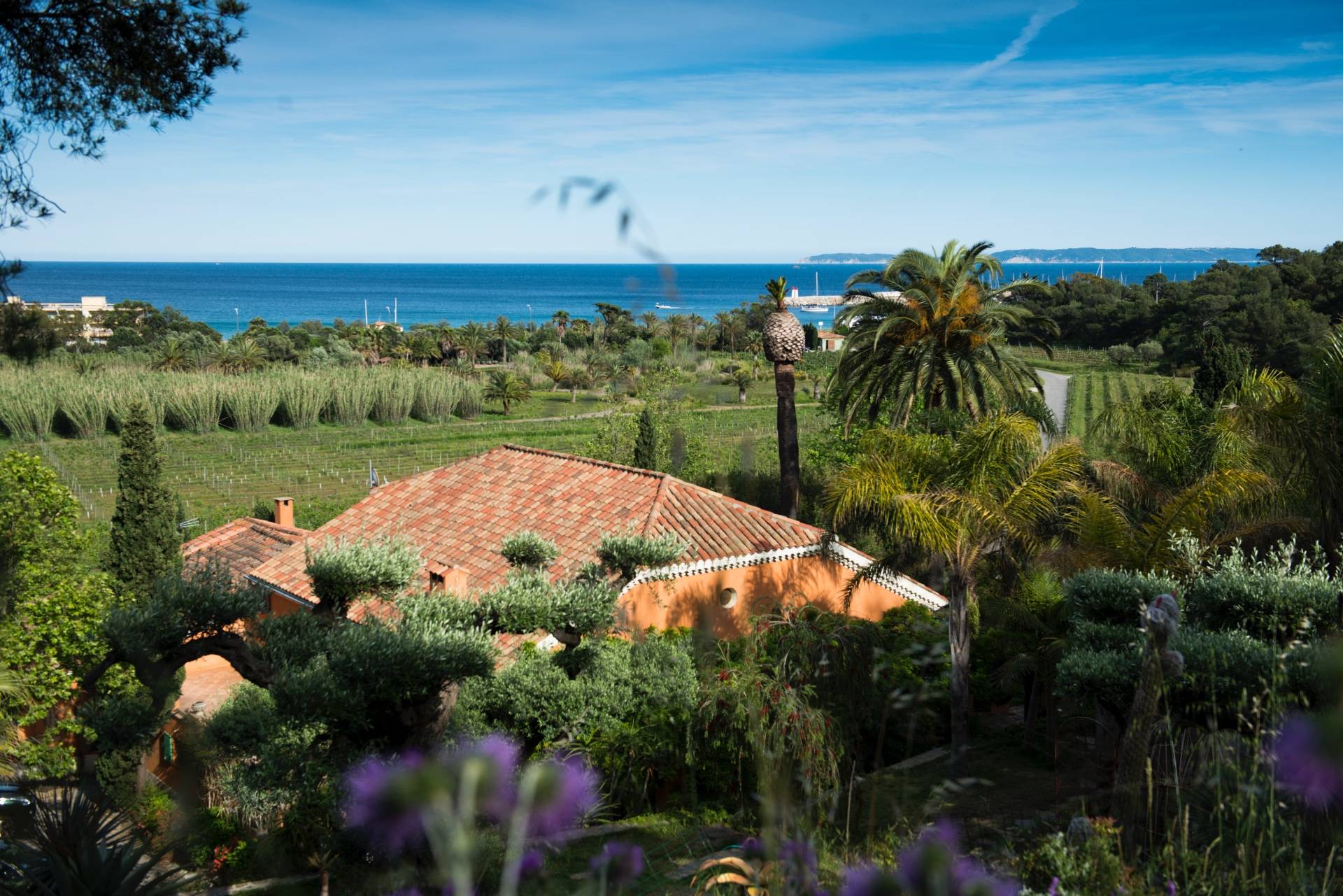 Domaine de L'Anglade - Winalist
