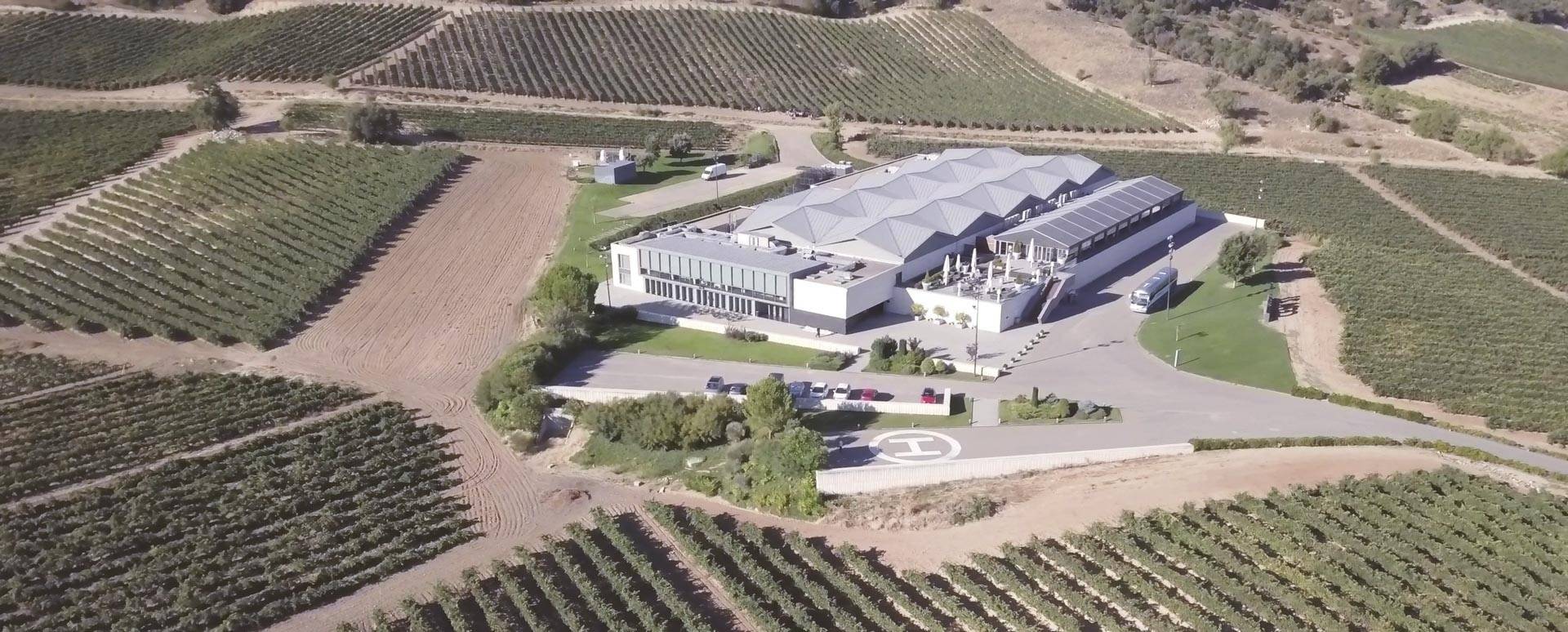 Bodegas Cepa 21 - Winalist