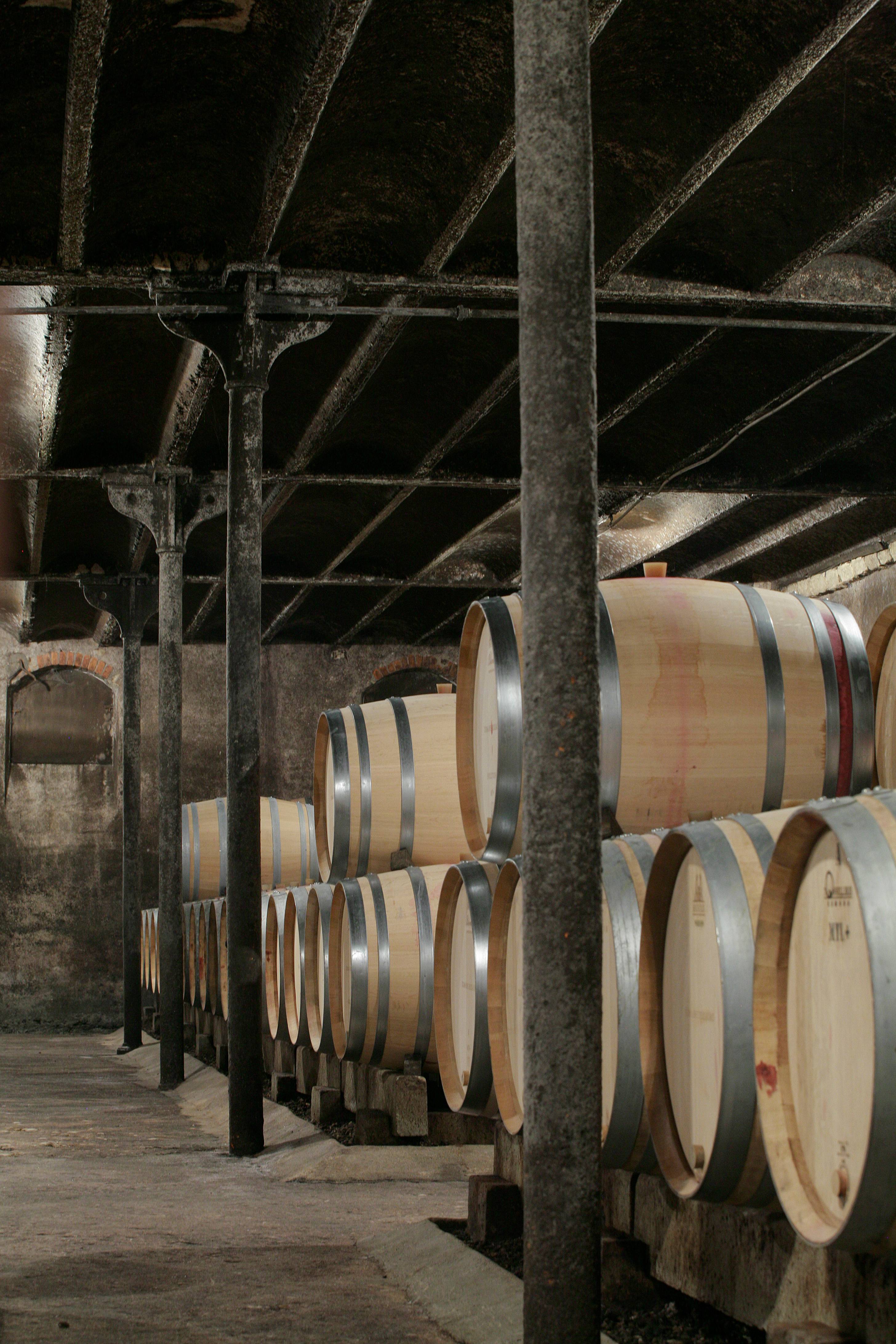 Immersion au cœur du terroir - Domaine Jessiaume - Winalist