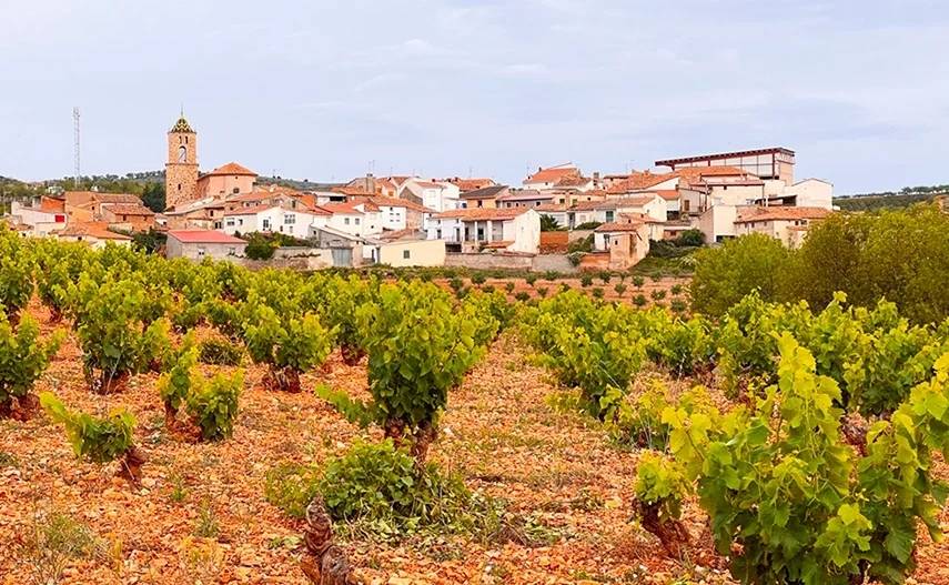 Raices Ibericas Sl - Winalist