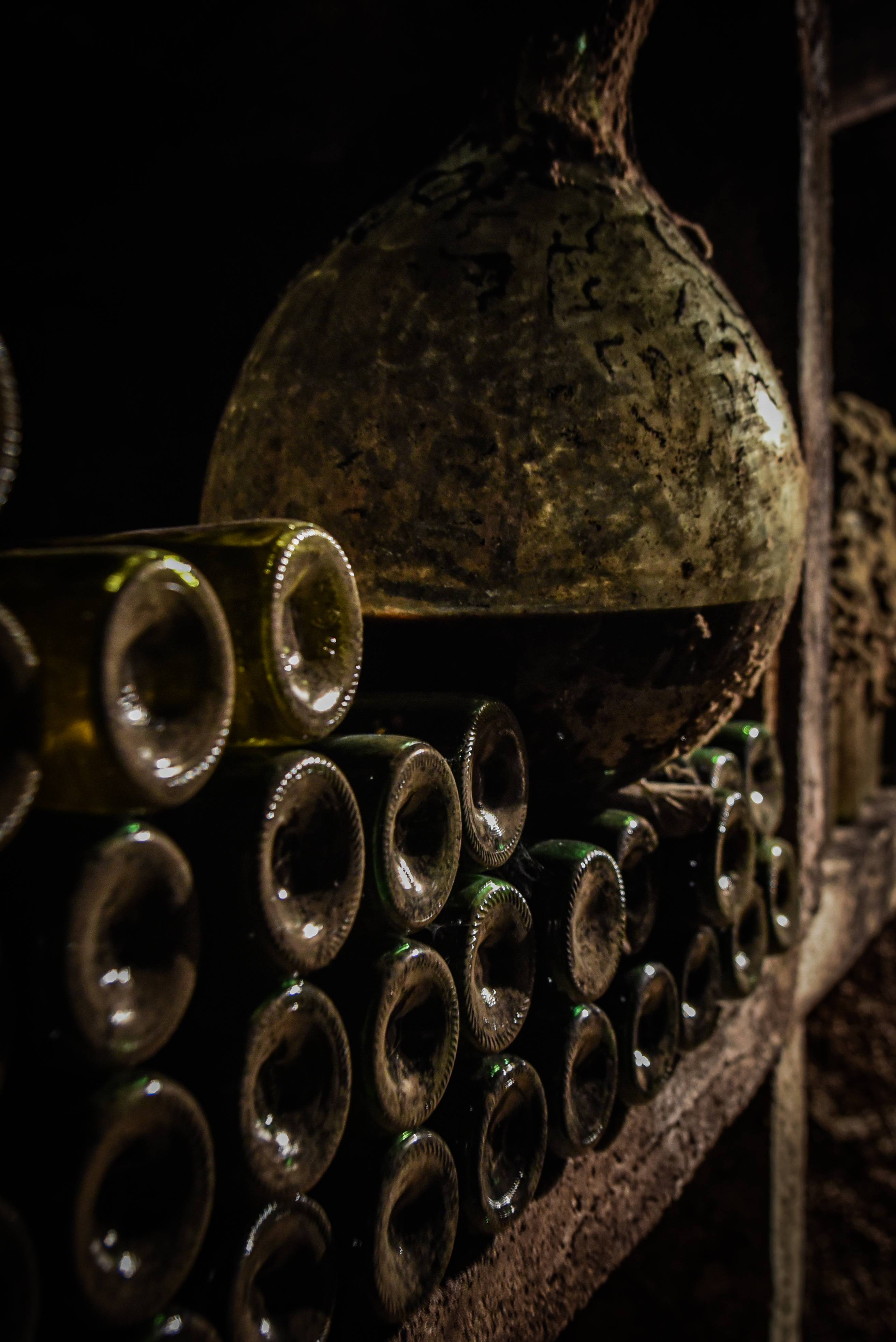 From vine to glass: the complete experience