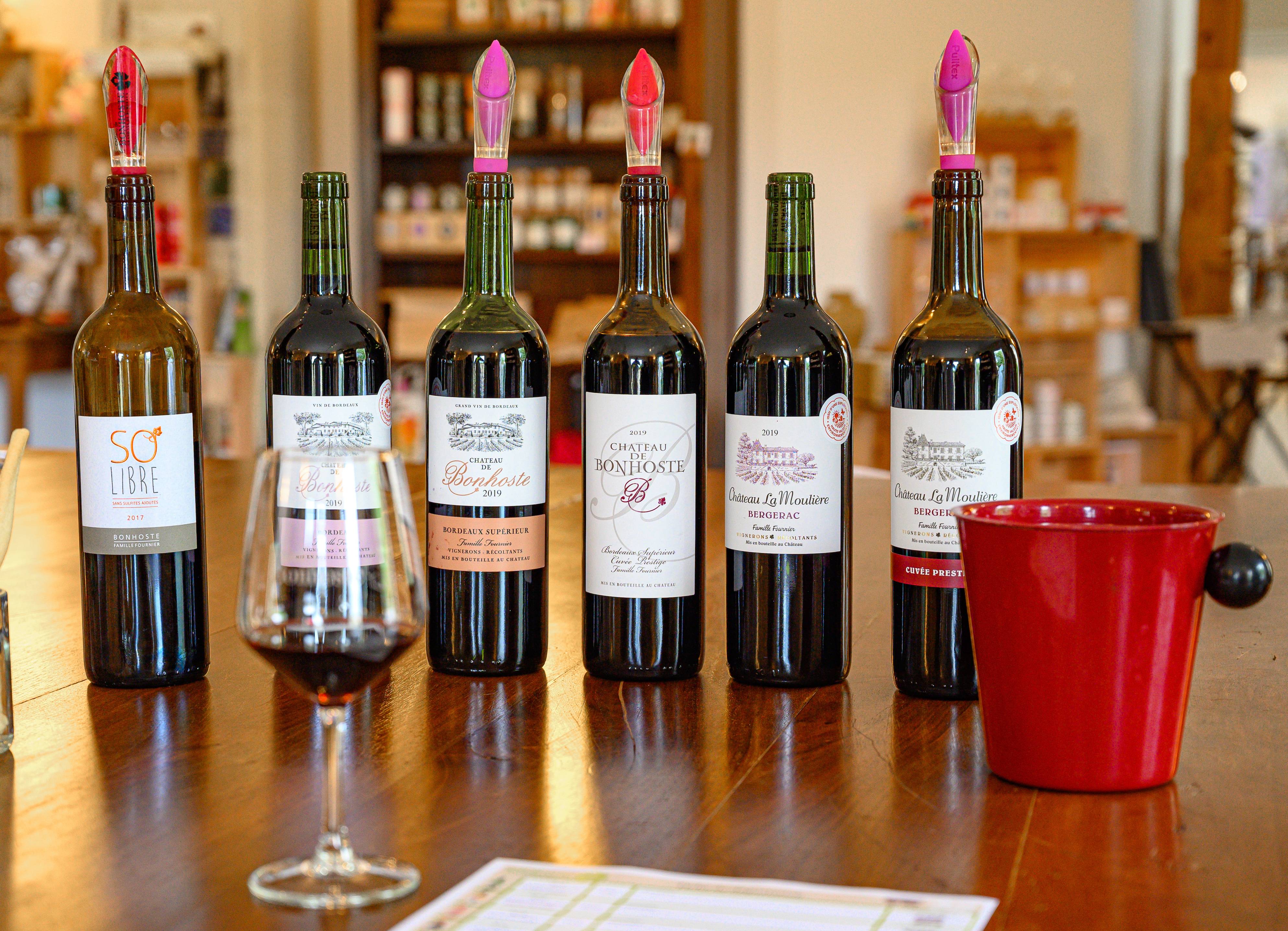 Que visiter autour de Bordeaux ? Châteaux et excursions incontournables - 2026 - 24 - que visiter autour de bordeaux que visiter autour de bordeaux - Que visiter autour de Bordeaux ? Châteaux et excursions incontournables - 2026 - 23