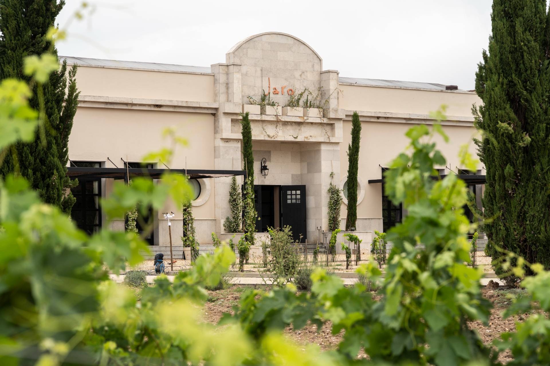 Viñas del Jaro - Winalist