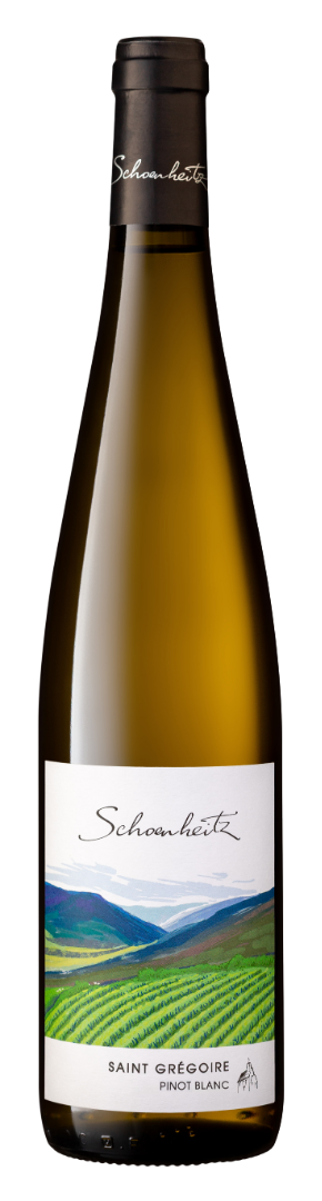 Pinot Blanc
