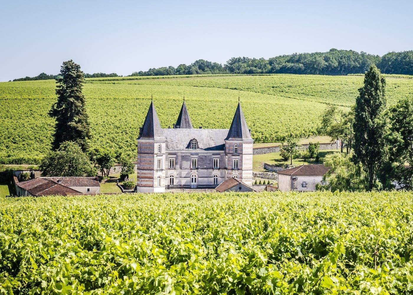 Cognac Frapin - Winalist