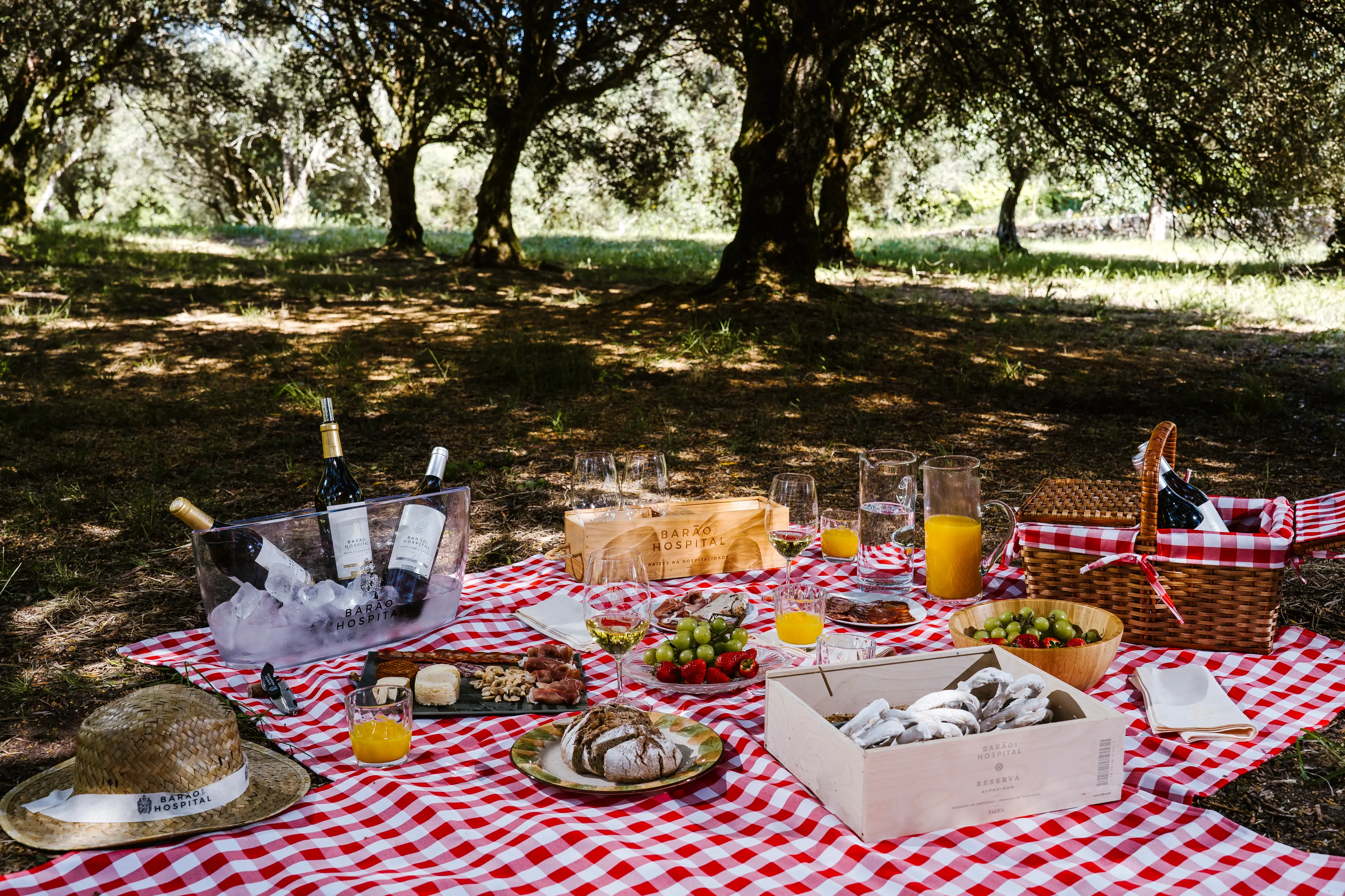 Picnic nel Giardino degli Ulivi