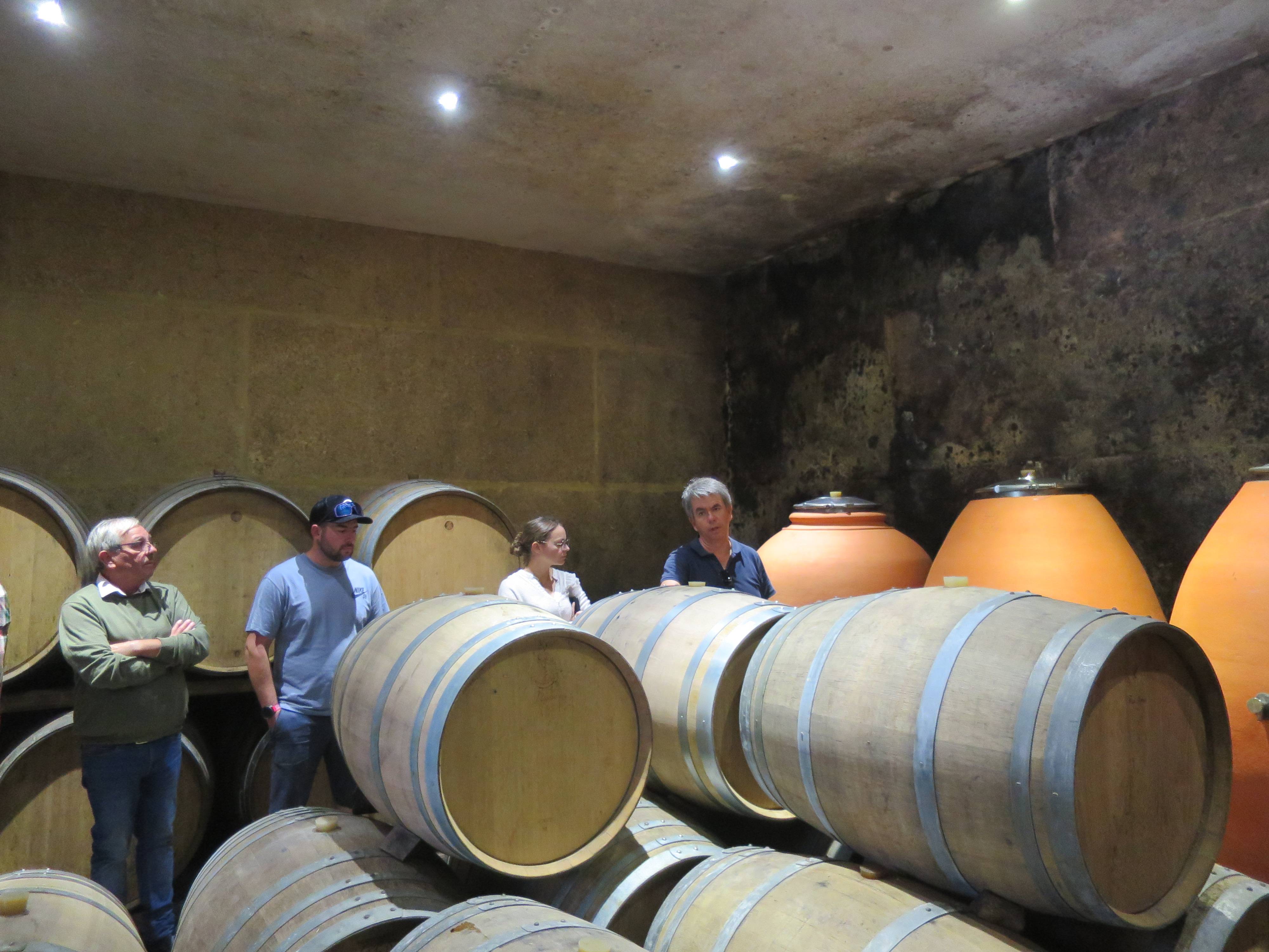 Parler du vin, connaître son élaboration - Ludivinum - Ecole des vins - Winalist