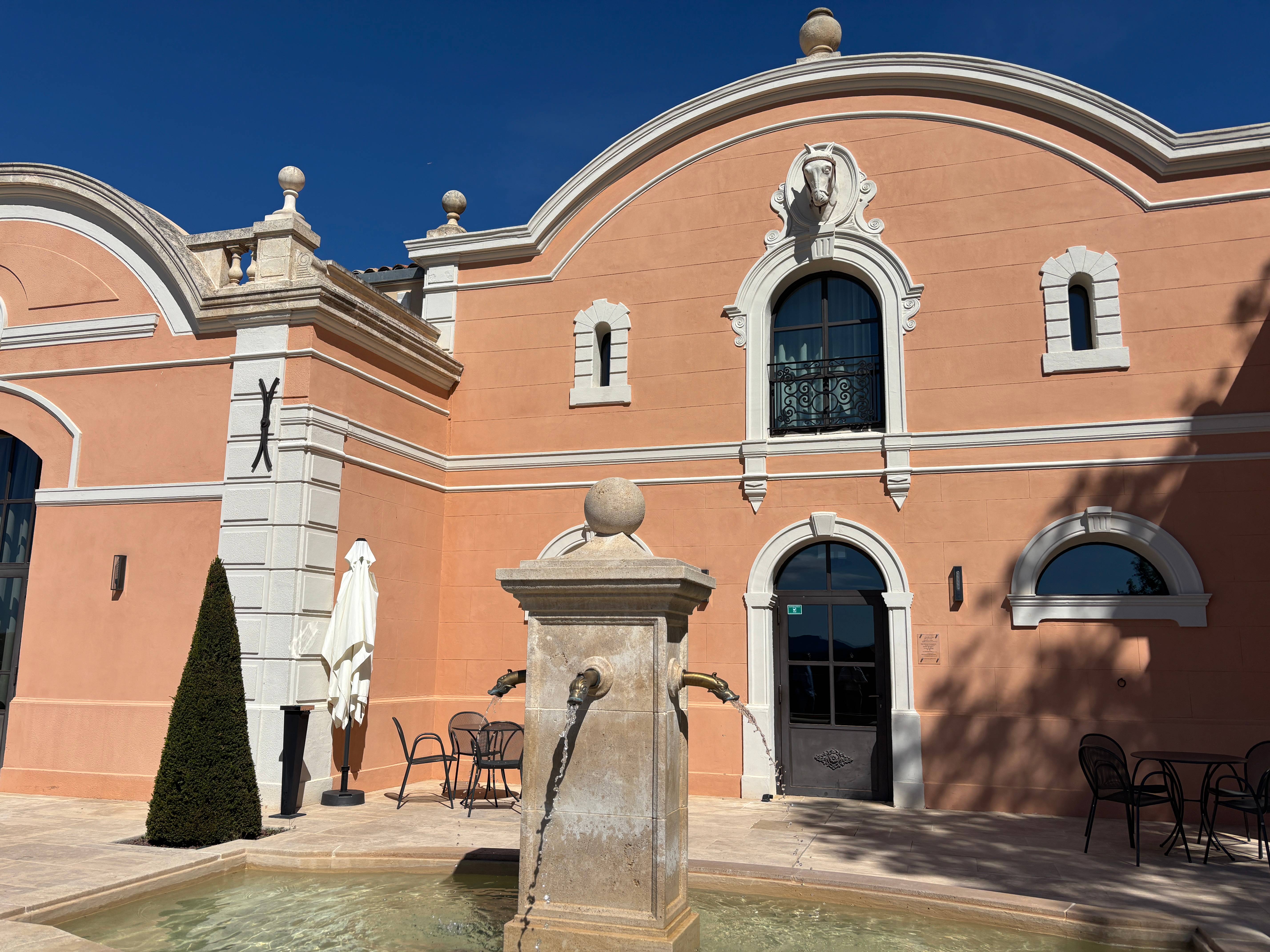 Vineyard and Wine Immersion