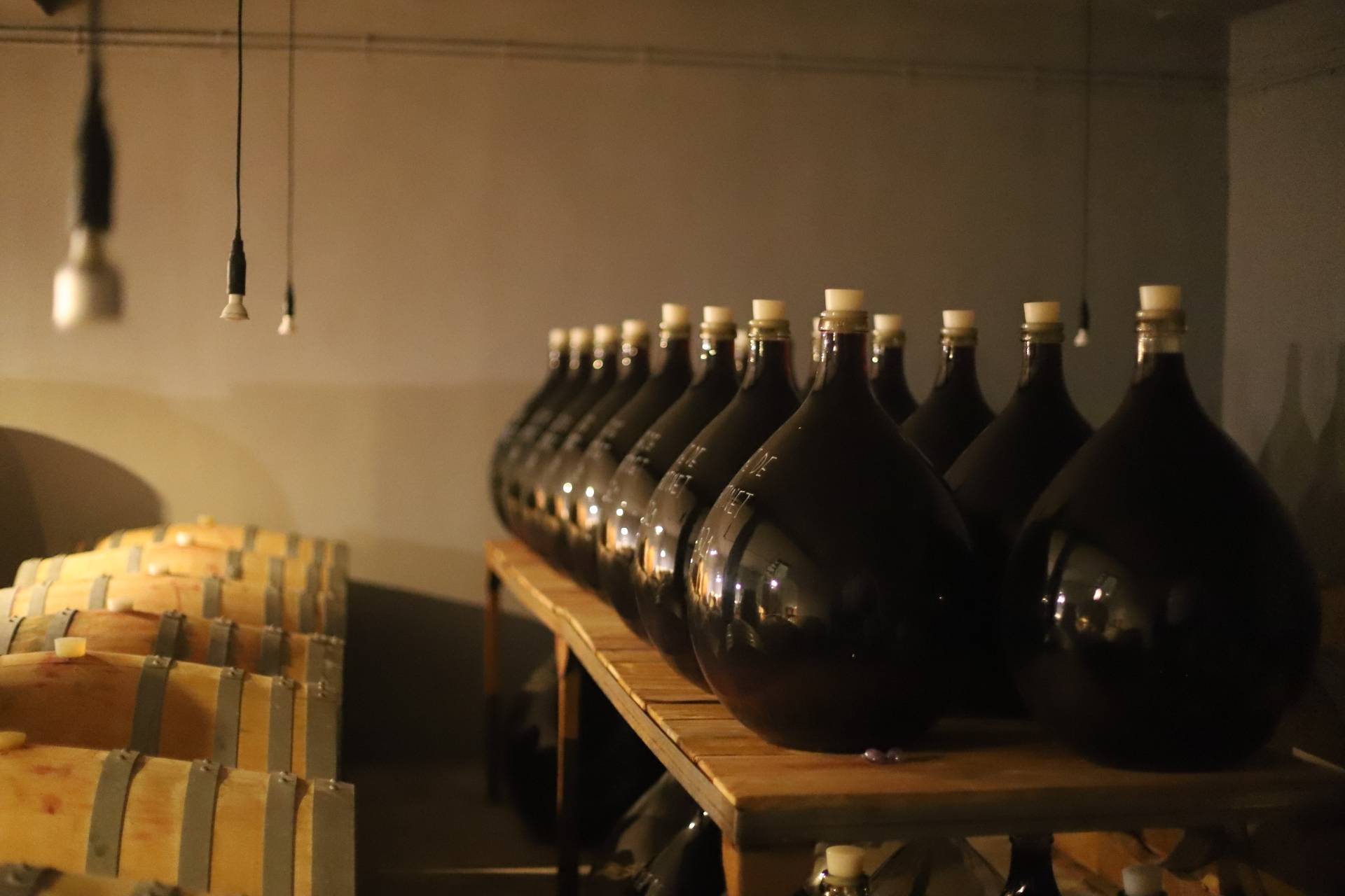 Mas Martinet Viticultors - Winalist