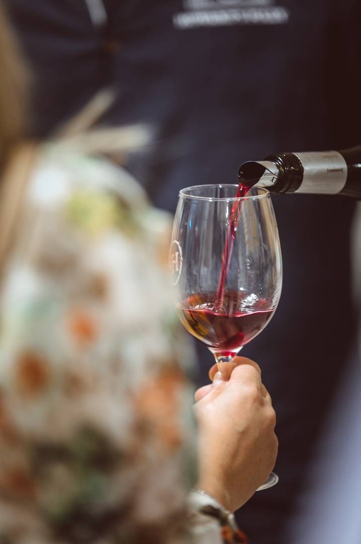 Degustação Vinho Gama Sonhador 