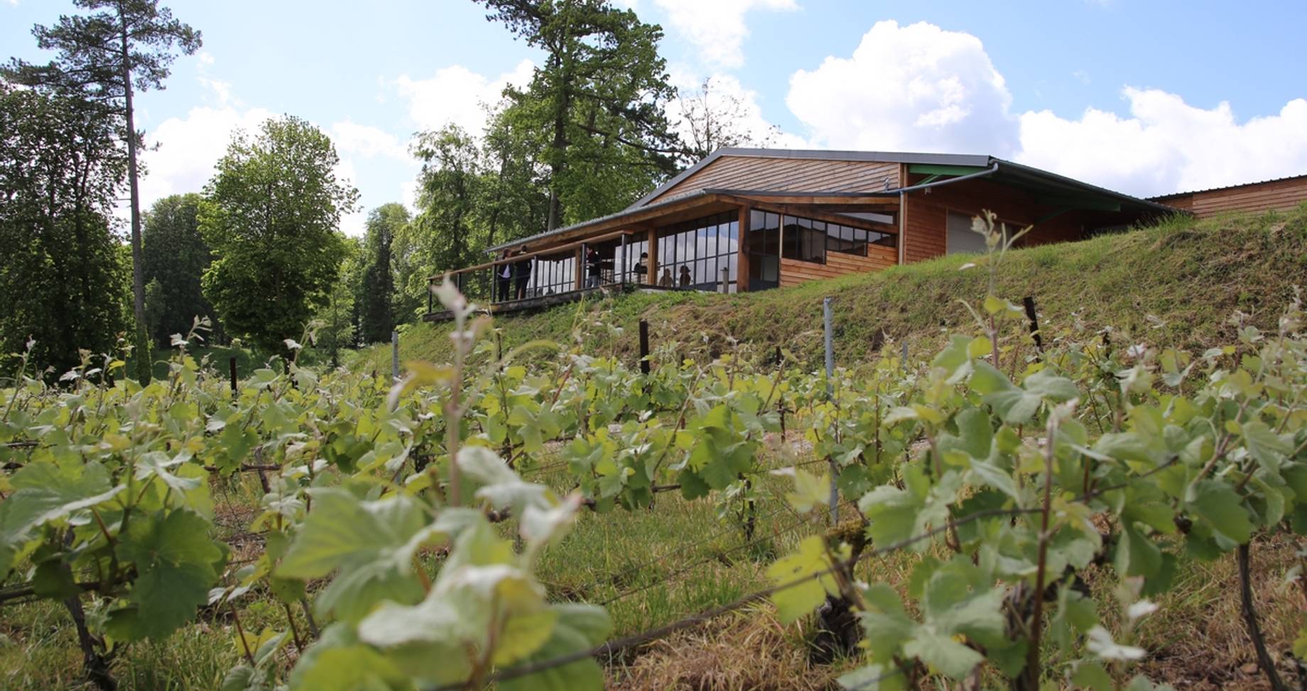 Les Habits de Lumière Épernay : Célèbrer les fêtes de fin d'année - 2026 - 22 - Habits de Lumière Épernay Habits de Lumière Épernay - Les Habits de Lumière Épernay : Célèbrer les fêtes de fin d'année - 2026 - 21