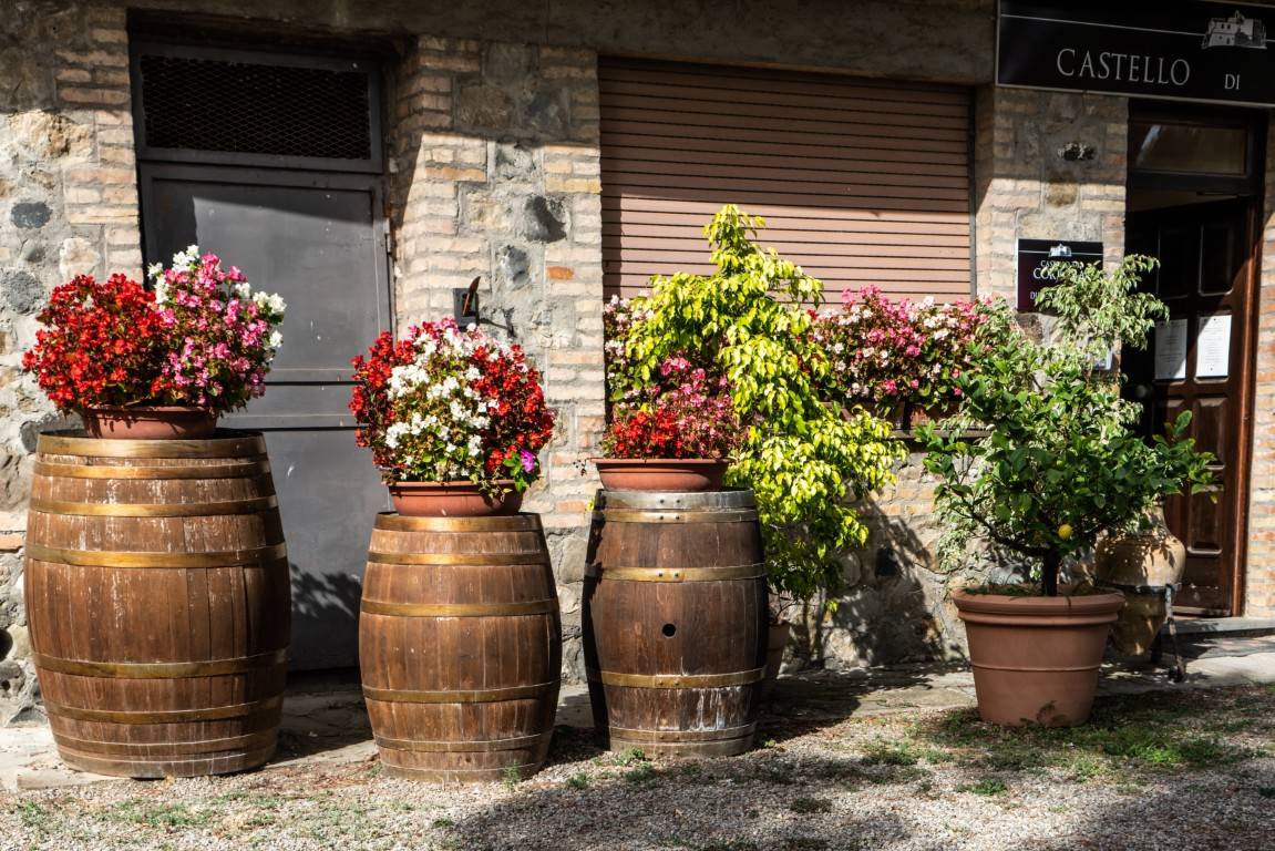 The Counts of Montemarte - Azienda Agricola Castello di Corbara - Winalist