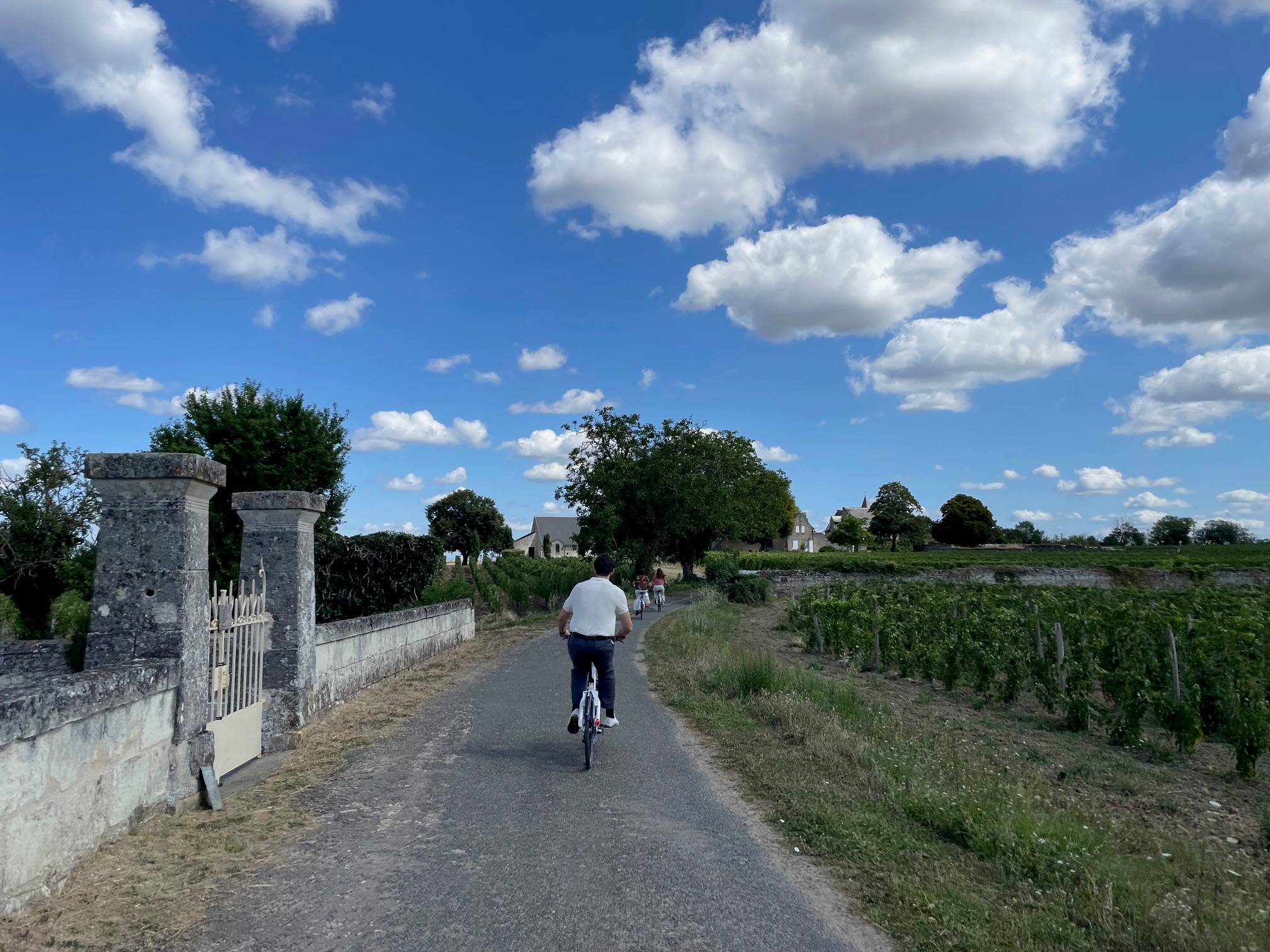 Vinhas, Vinho, Bicicleta - Domaine De Rocheville - Winalist
