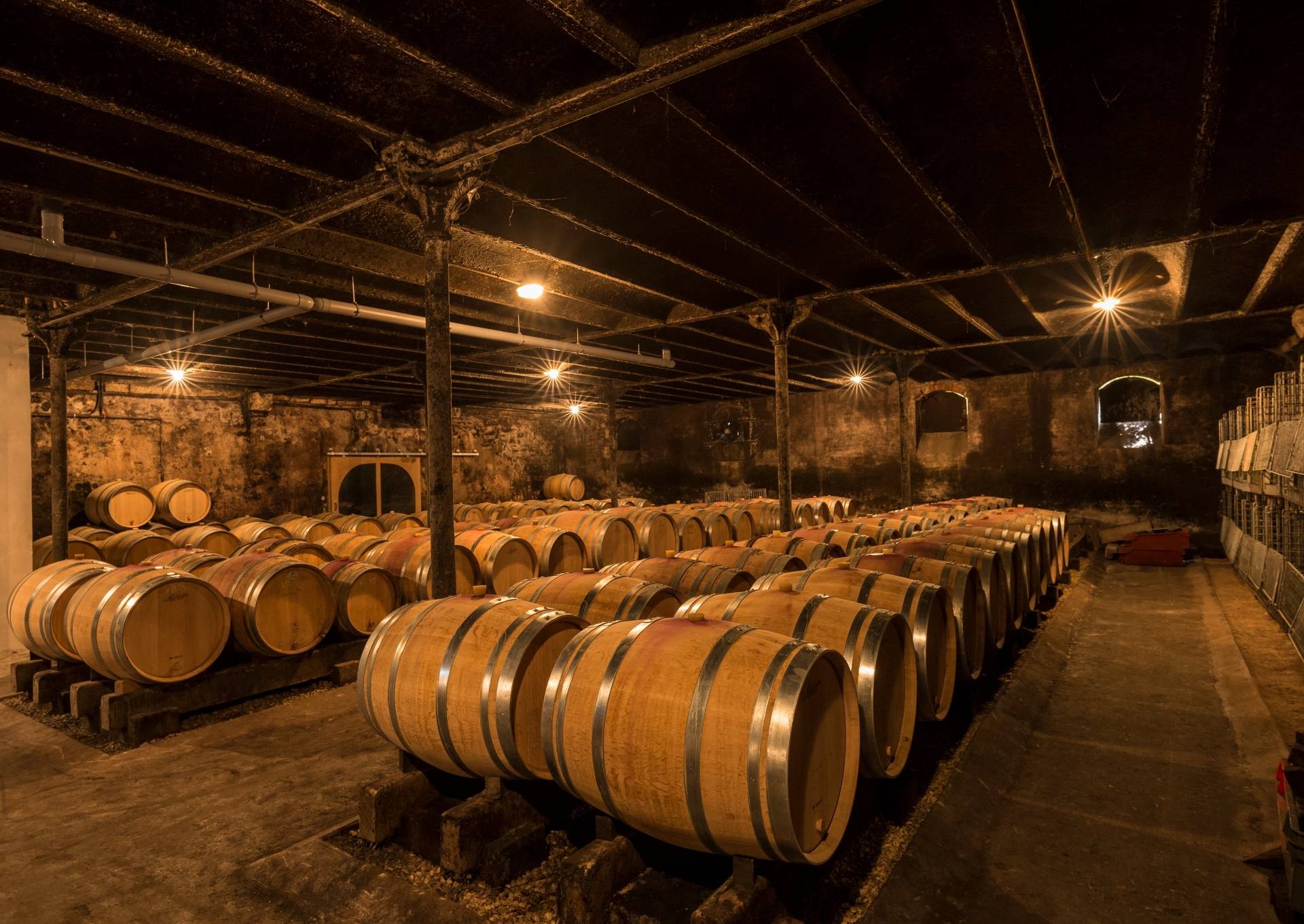Visite des caves & dégustation