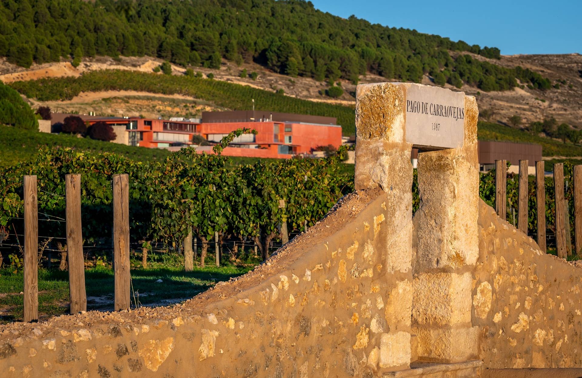 Pago de Carraovejas - Winalist