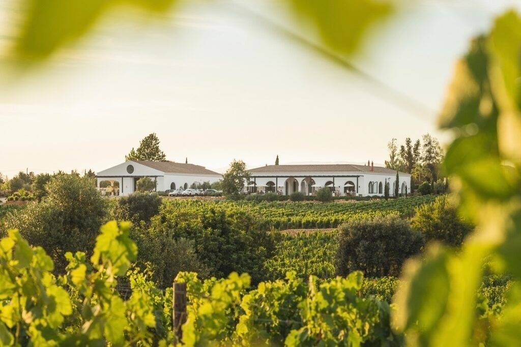 Quinta dos Santos - Winalist