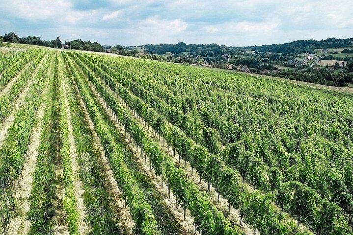 Comfort Tours Cracow - Winalist