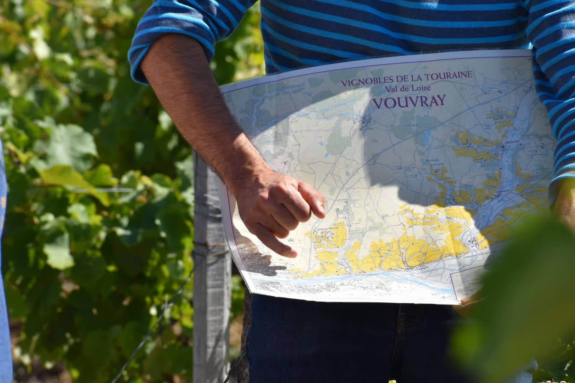 Tour privato di un'intera giornata nella Valle della Loira con pranzo