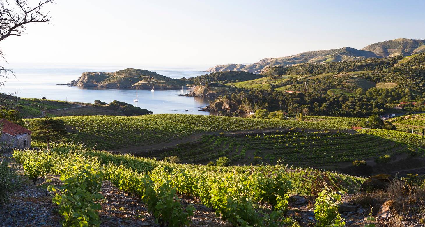 Visiter Collioure : Les incontournables à voir et faire - 2026 - 9 - visiter collioure visiter collioure - Visiter Collioure : Les incontournables à voir et faire - 2026 - 8