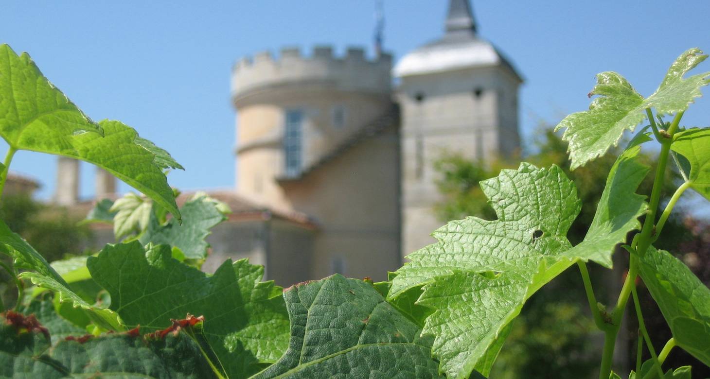 Visiter Blaye : les lieux emblématiques à découvrir - 2026 - 12 - visiter Blaye visiter Blaye - Visiter Blaye : les lieux emblématiques à découvrir - 2026 - 11