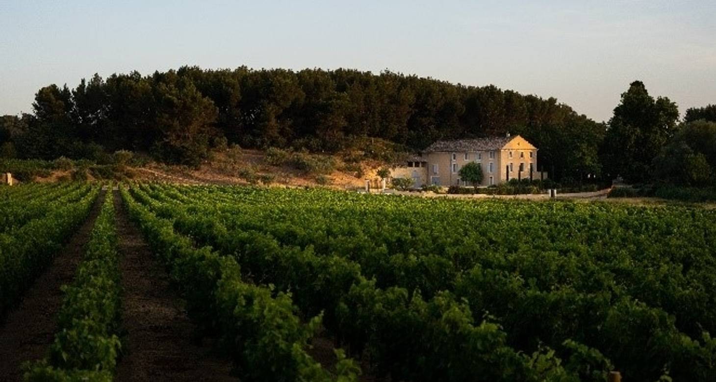 Visiter Avignon : Les incontournables à faire et à voir - 2026 - 21 - visiter avignon visiter avignon - Visiter Avignon : Les incontournables à faire et à voir - 2026 - 20