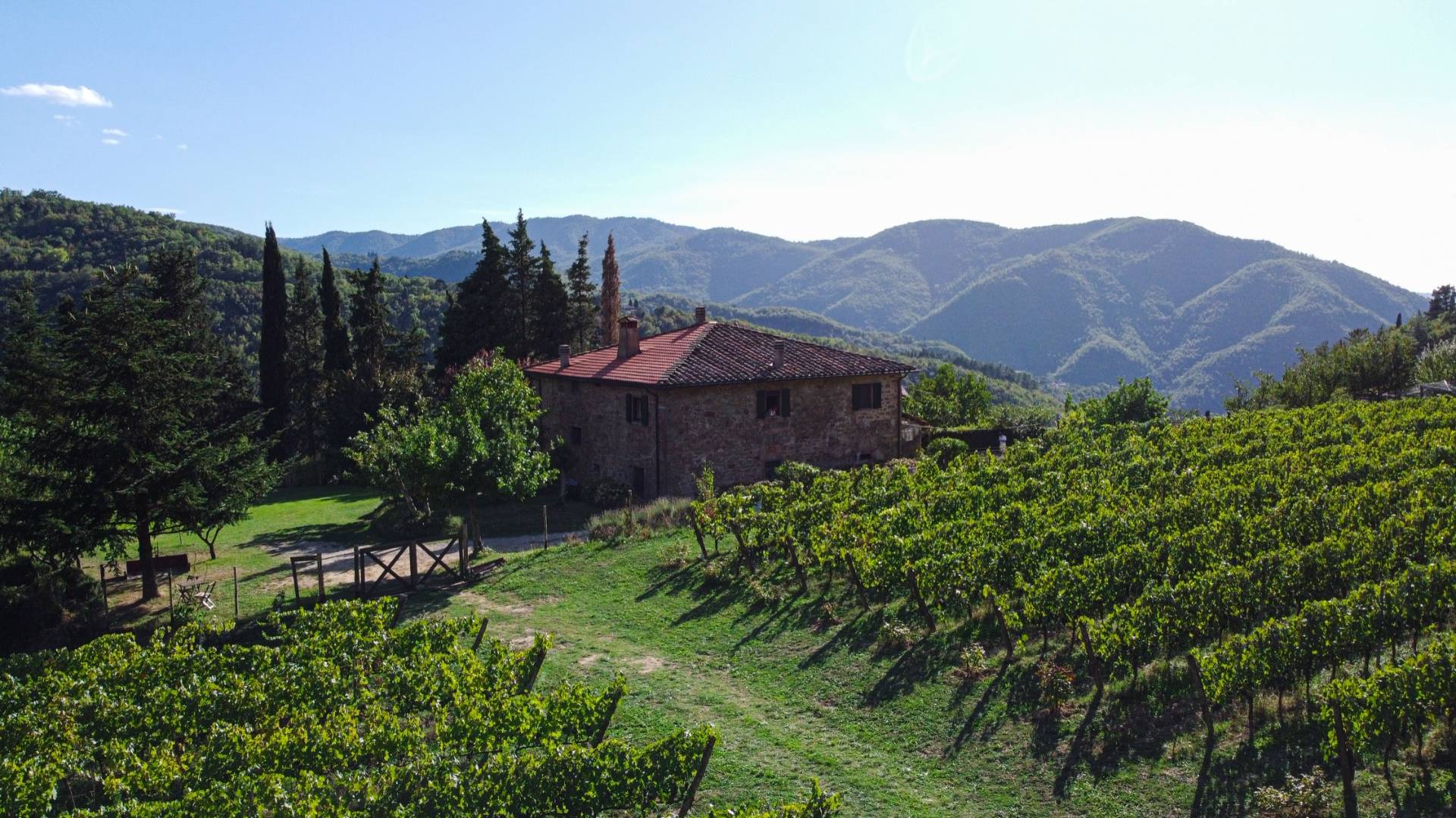 Fattoria San Leolino - Winalist