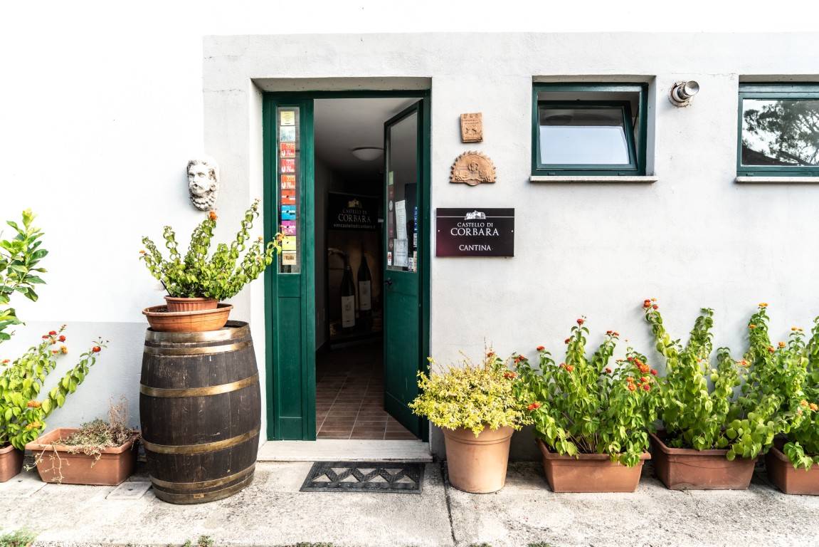 A Thousand Hectares in a Glass - Azienda Agricola Castello di Corbara - Winalist