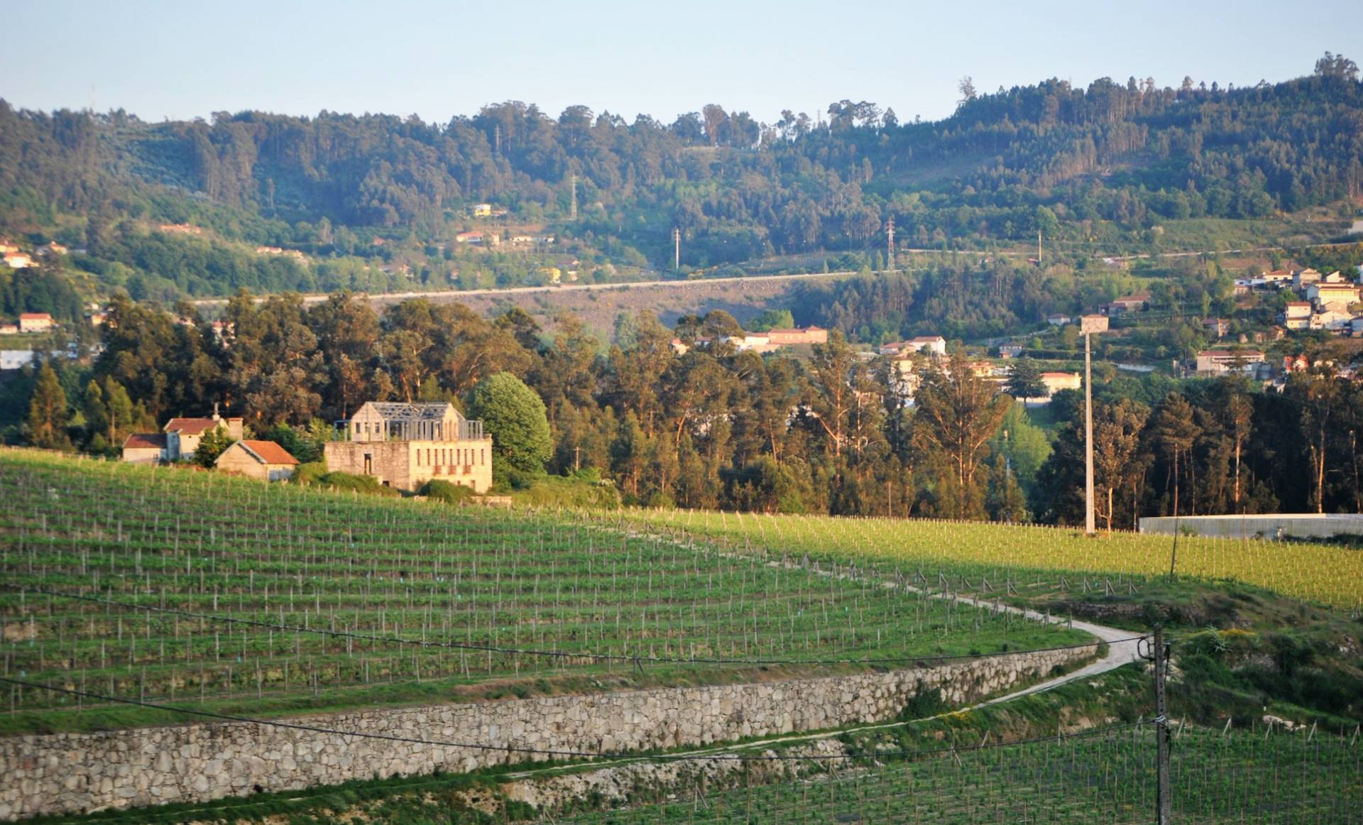 Cinco Quintas - Avicella Wines - Winalist