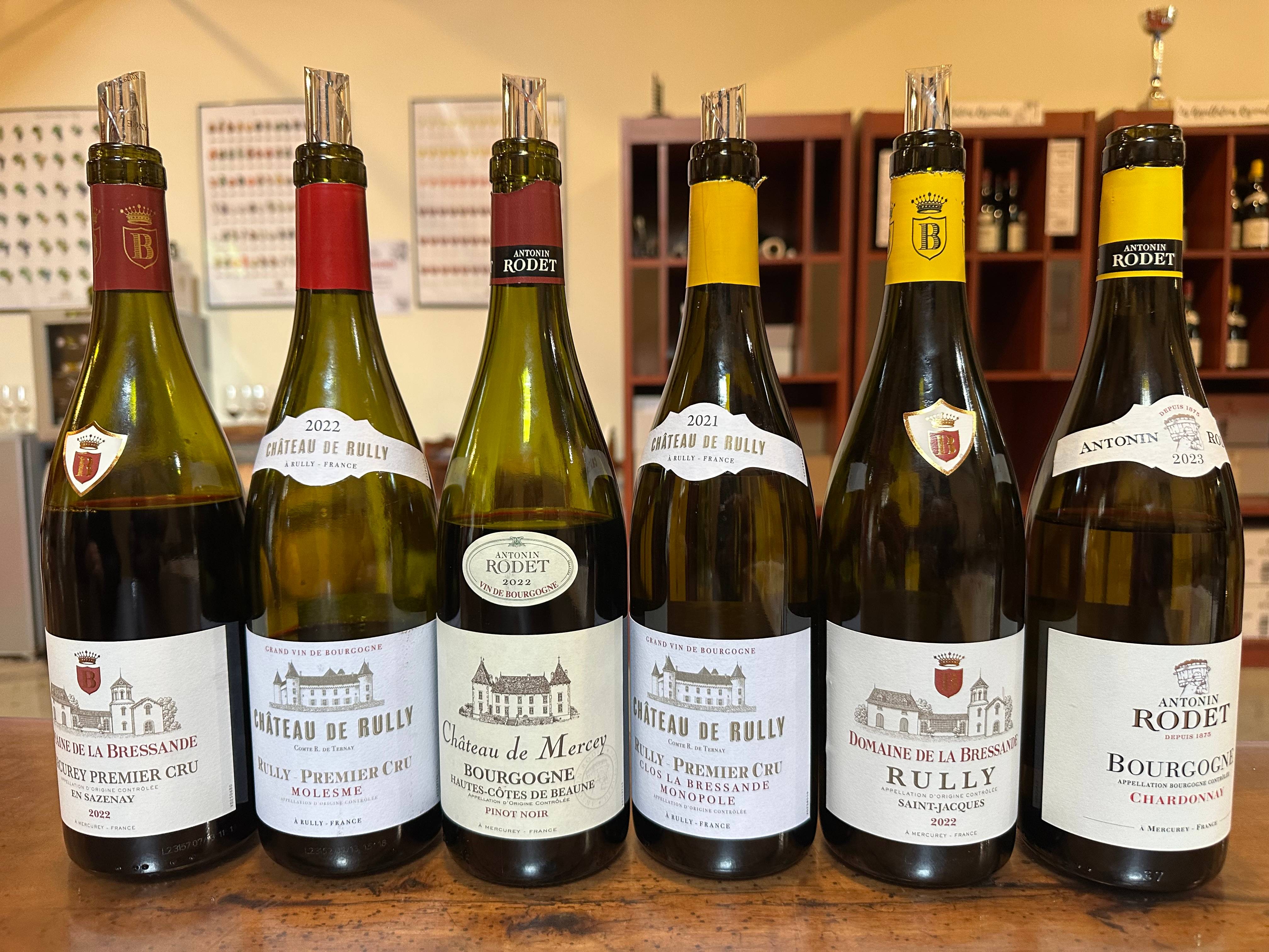 Parcours de la vigne au verre