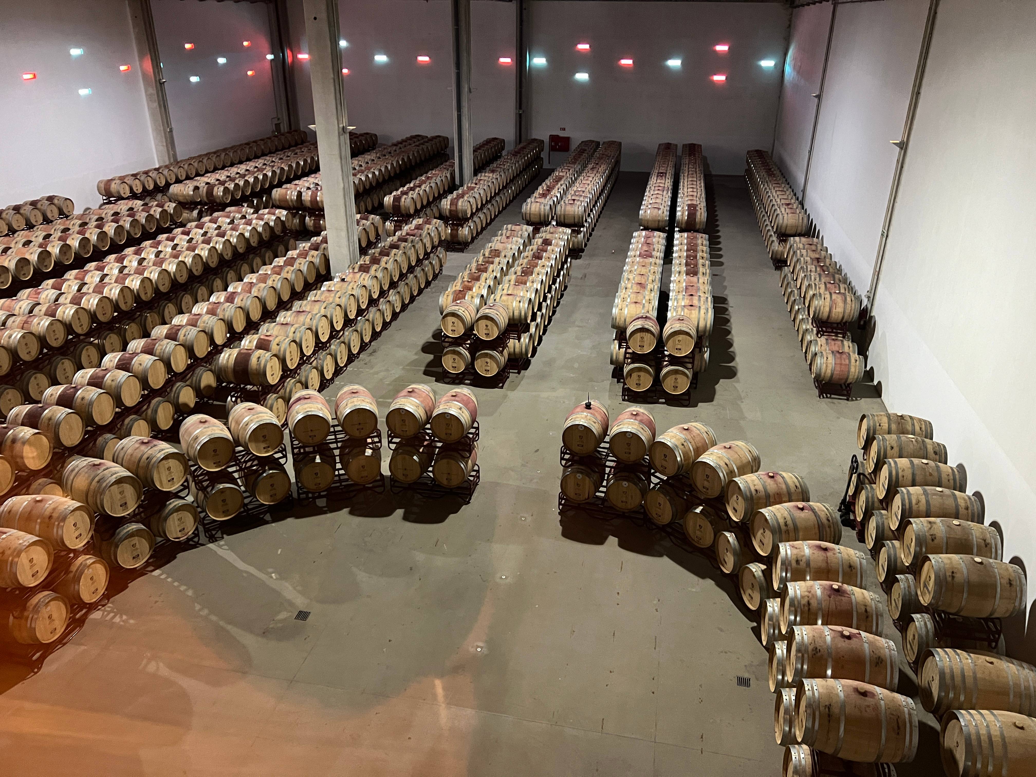 Adega de Borba Reserva Pack