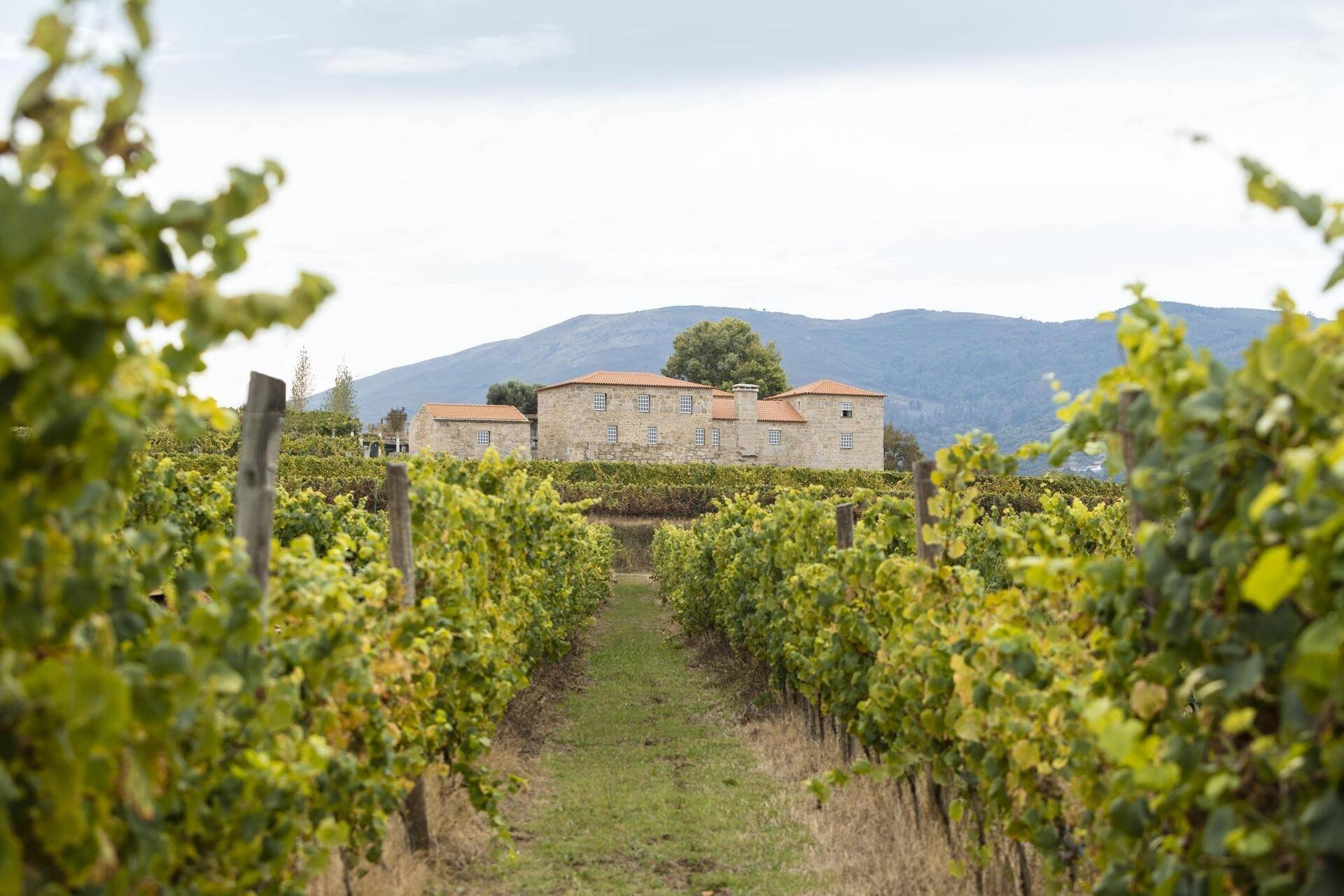 Quinta da Torre - Anselmo Mendes - Winalist