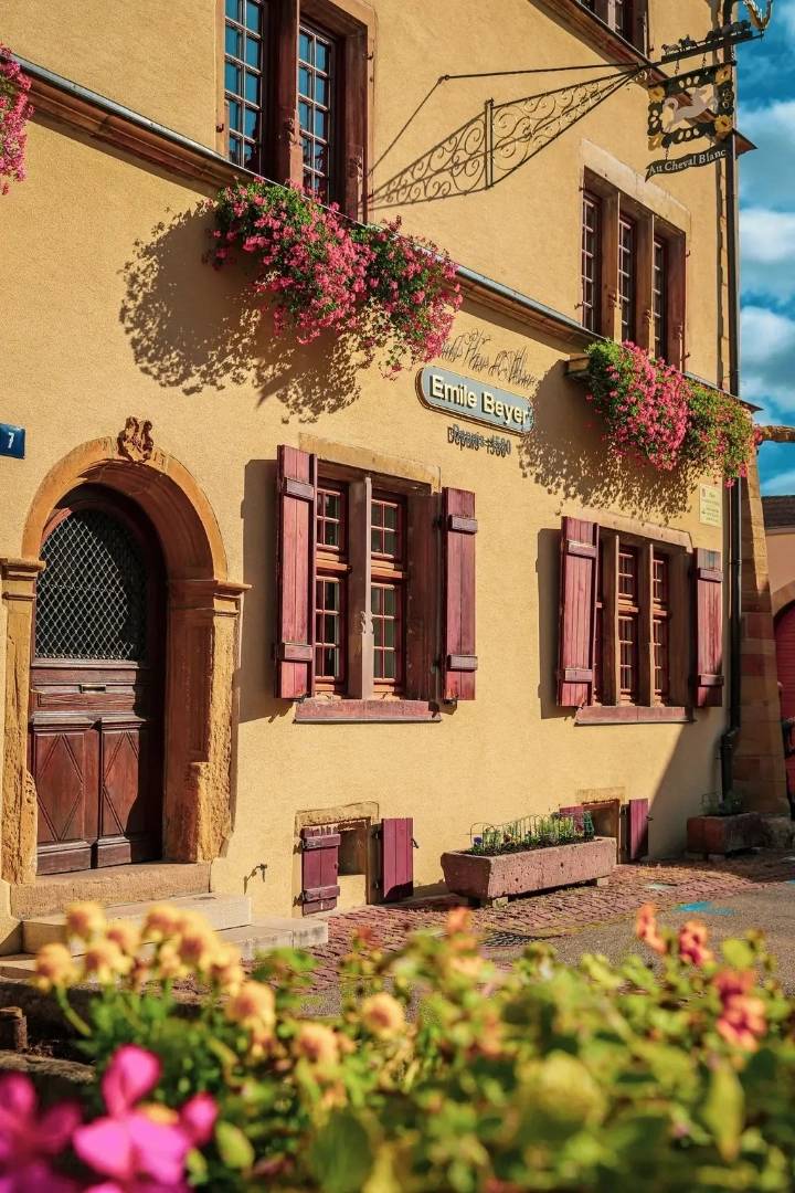 Domaine Emile Beyer - Winalist