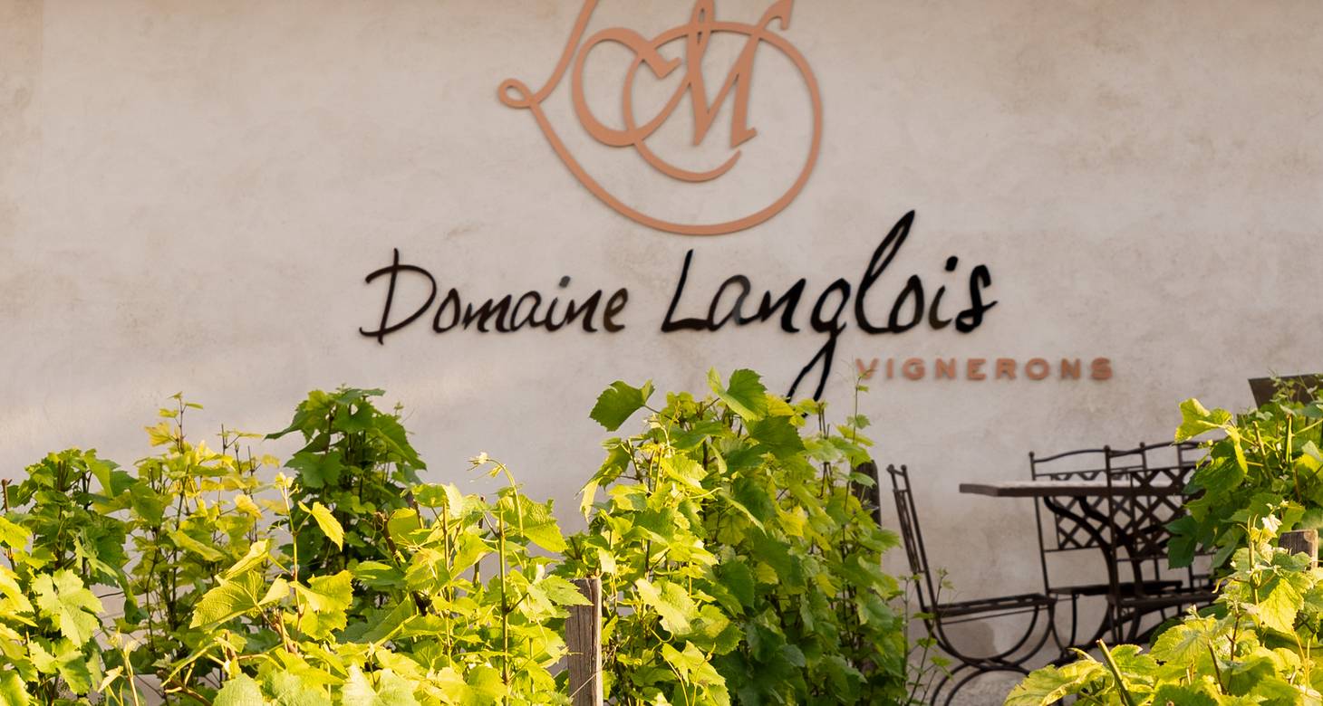 Loire Valley wine map: Uncover the famous wine region - 2026 - 37 - Loire valley wine map Loire valley wine map - Loire Valley wine map: Uncover the famous wine region - 2026 - 36