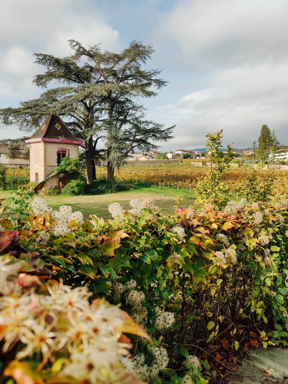 Route des vins Beaujolais : Itinéraire, Guide et Carte - 2026 - 16 - route des vins Beaujolais, Beaujolais route des vins Beaujolais, Beaujolais - Route des vins Beaujolais : Itinéraire, Guide et Carte - 2026 - 15