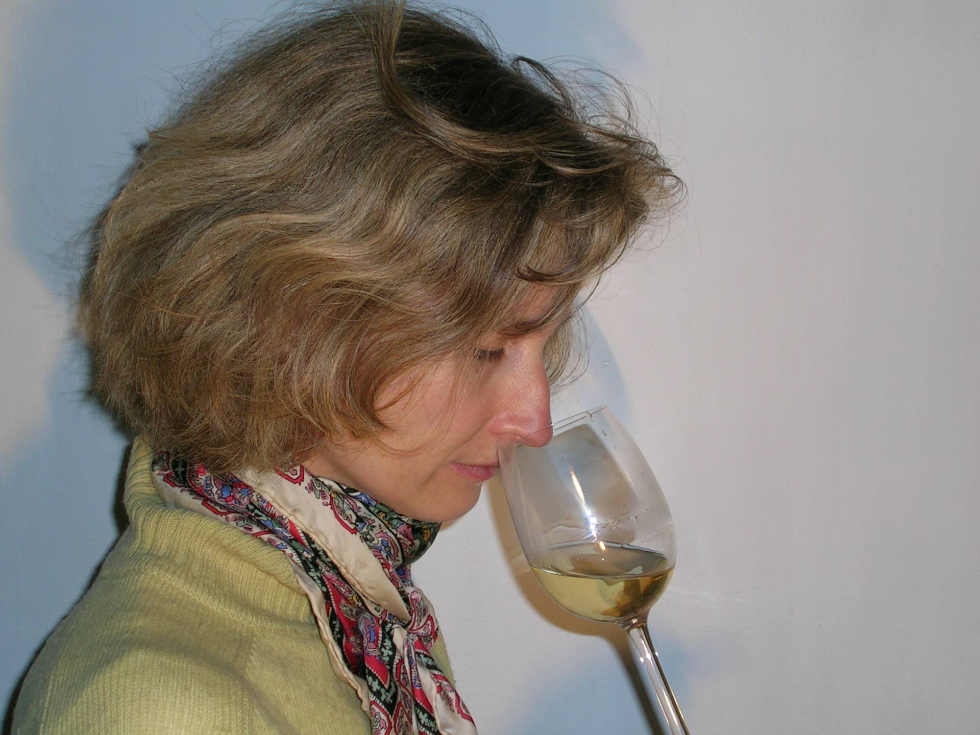 Parler du vin, connaître son élaboration - Ludivinum - Ecole des vins - Winalist