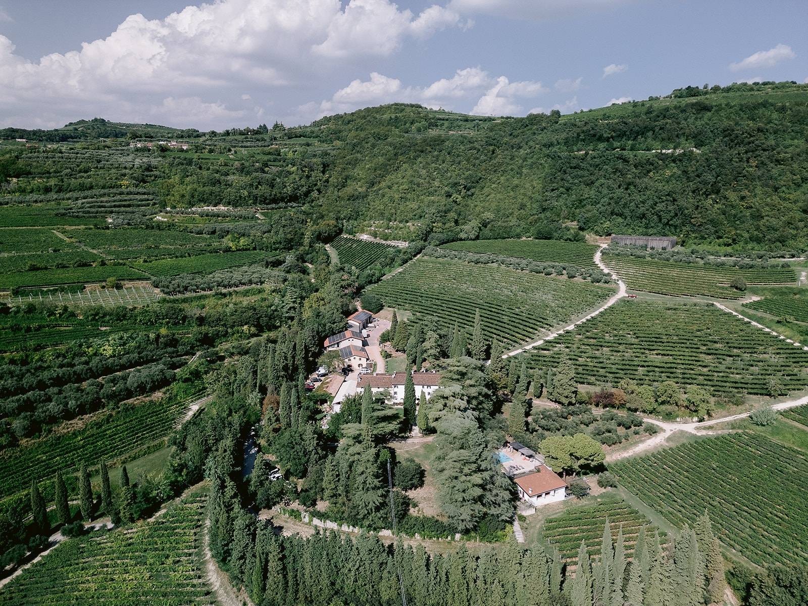 Massimago - Winalist