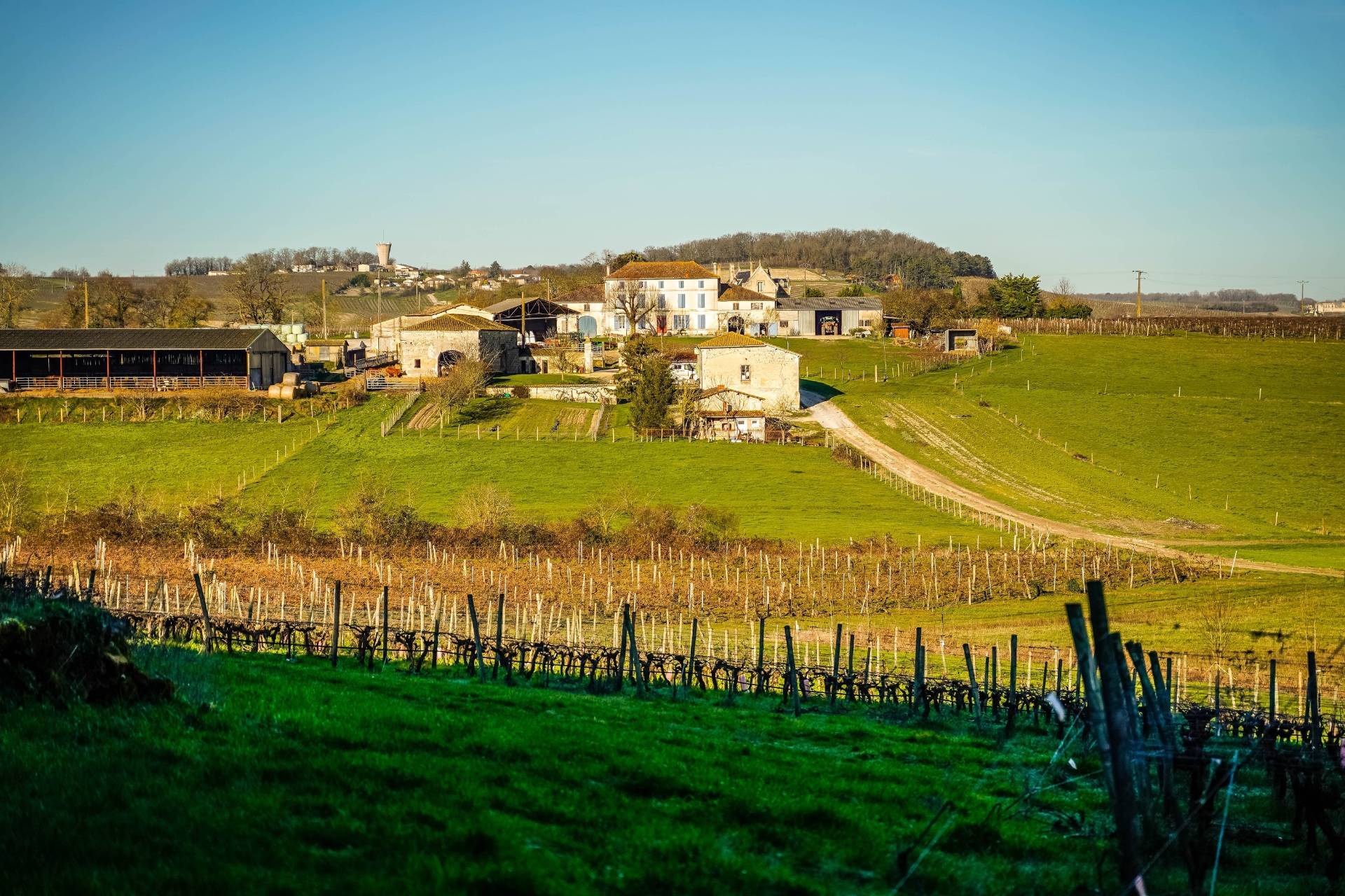 Domaine Pasquet - Winalist