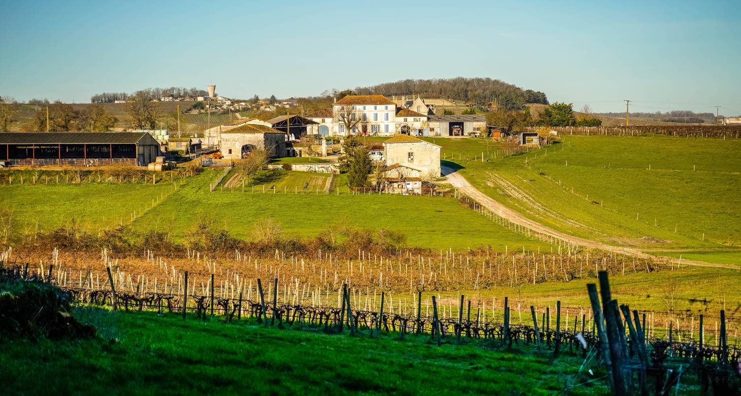 Visit Cognac: Uncover the top things to do and see - 2026 - 23 - visit cognac visit cognac - Visit Cognac: Uncover the top things to do and see - 2026 - 22